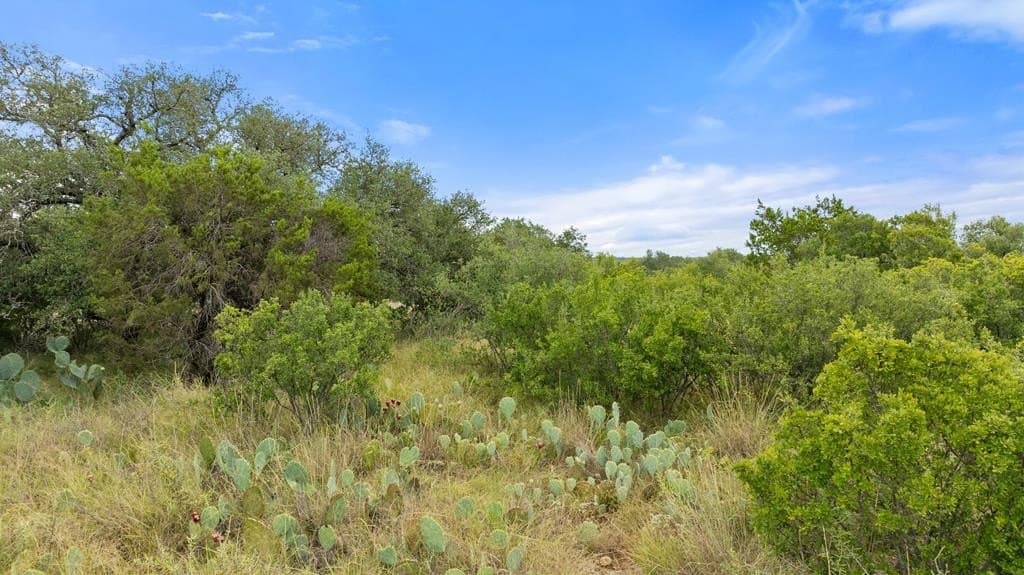 5 acres in Blanco County - photo 25