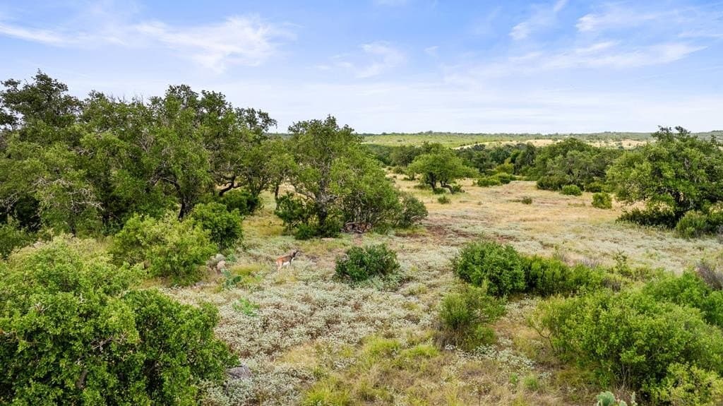 5 acres in Blanco County - photo 11
