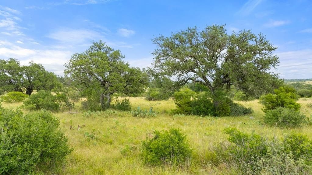 5 acres in Blanco County - photo 30