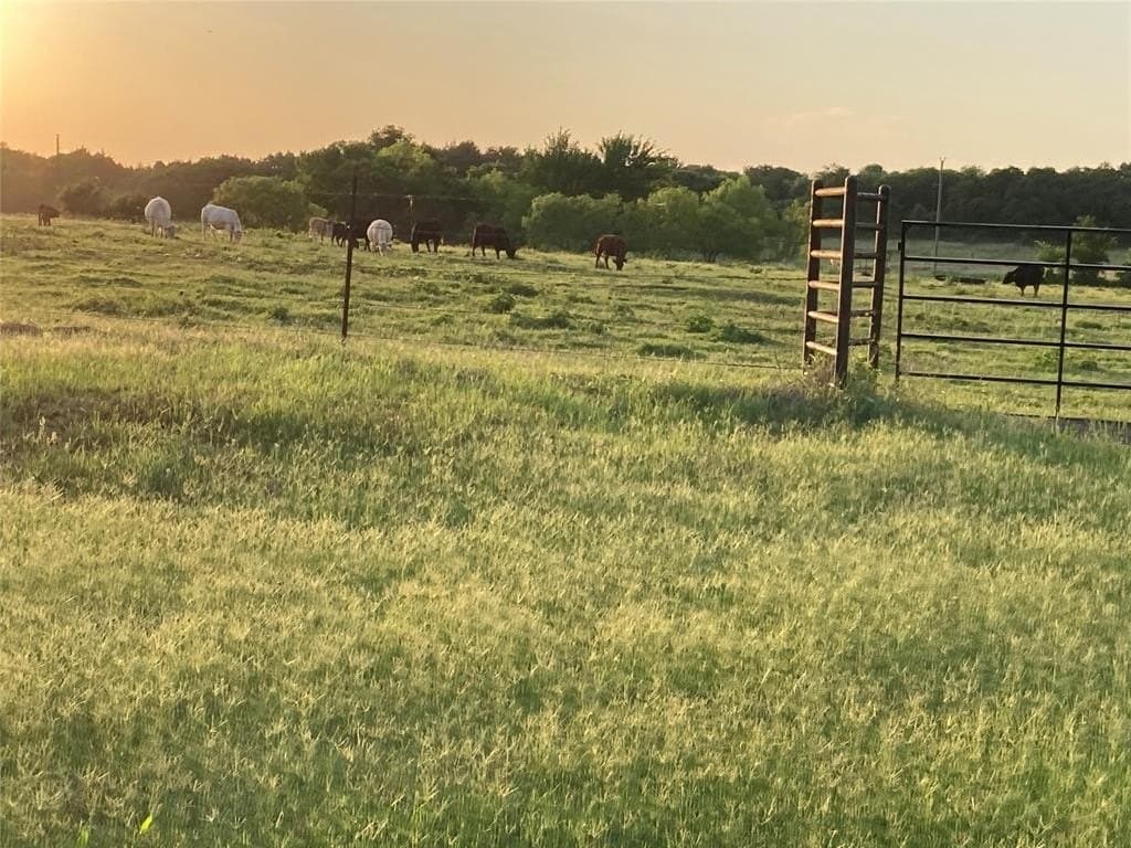 9 acres in Hill County gallery image 2