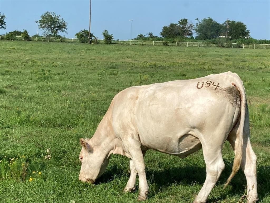 9 acres in Hill County featured view