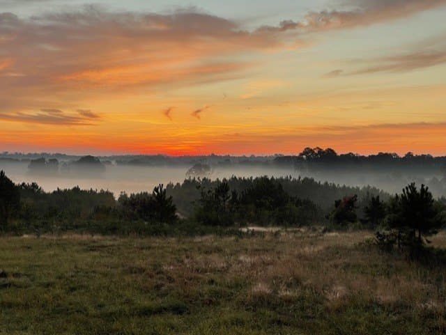 81.83 acres in Rusk County - photo 28