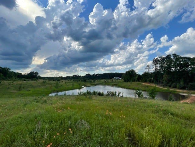 81.83 acres in Rusk County - photo 26