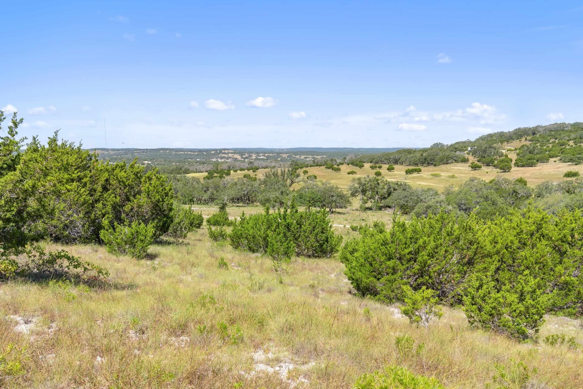 20.8 acres in Blanco County gallery image 3