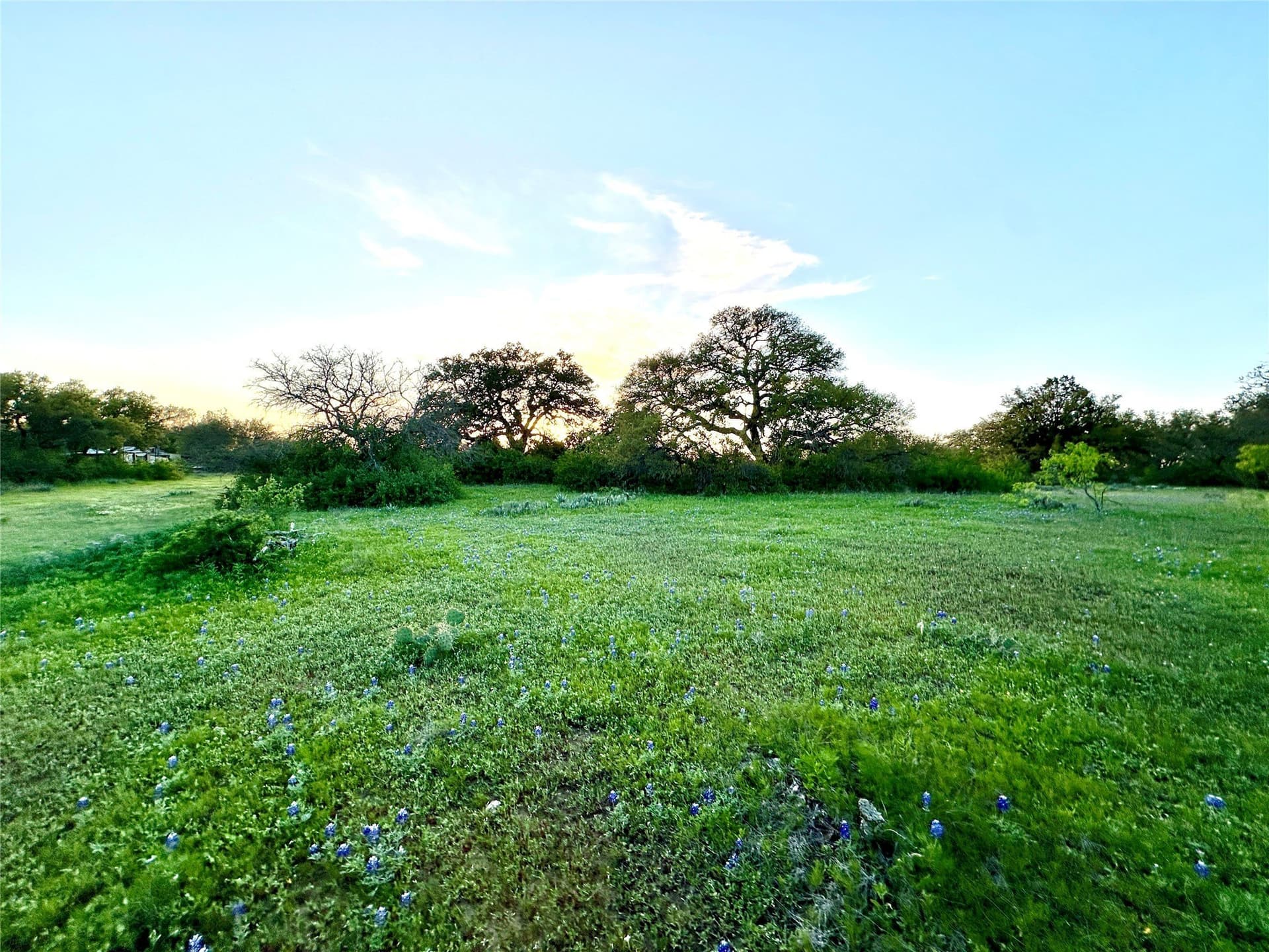 155.44 acres in Mills County - photo 18