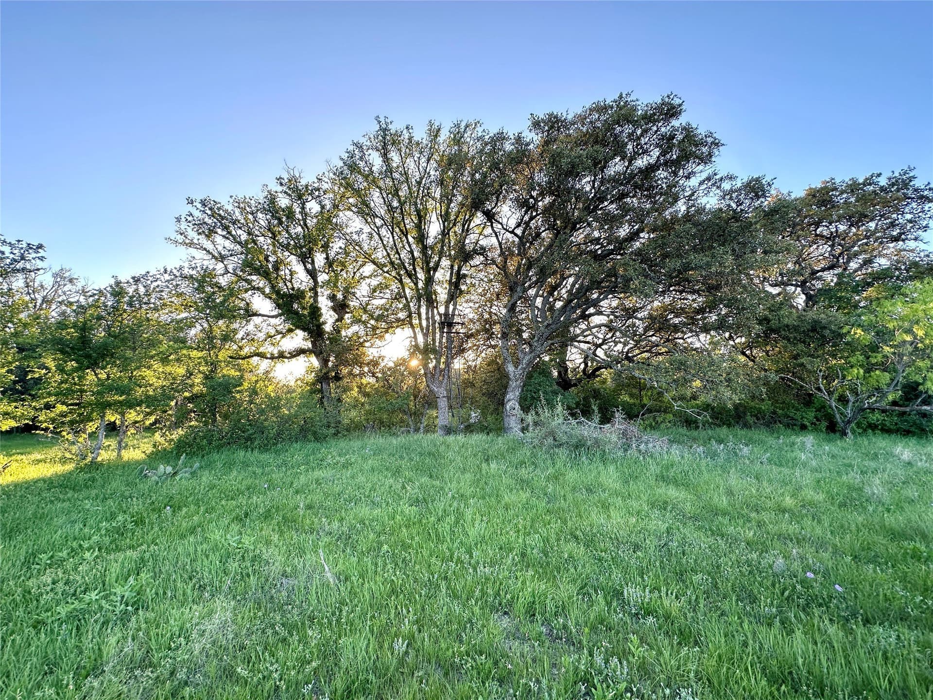 155.44 acres in Mills County - photo 37