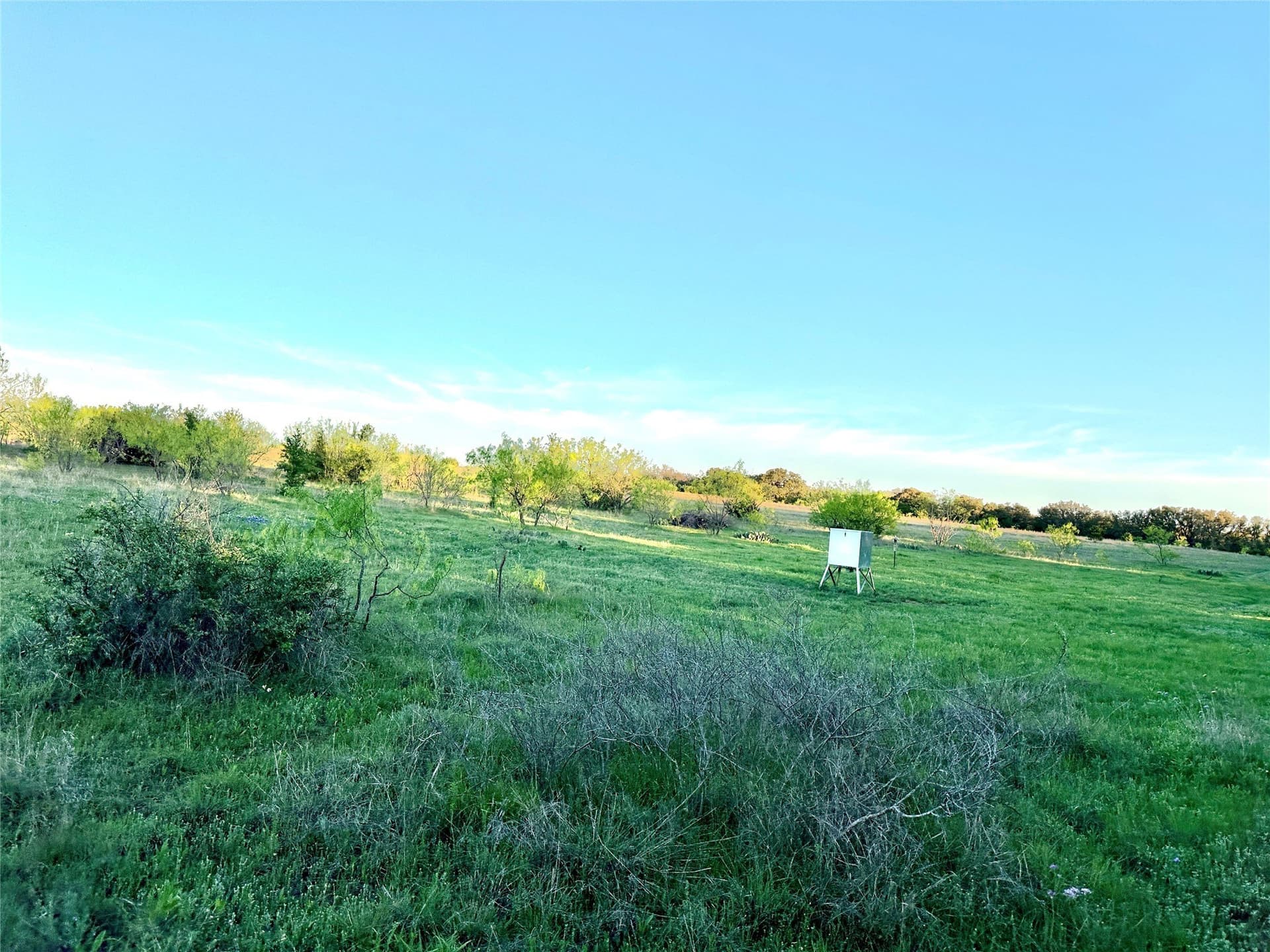 155.44 acres in Mills County - photo 35