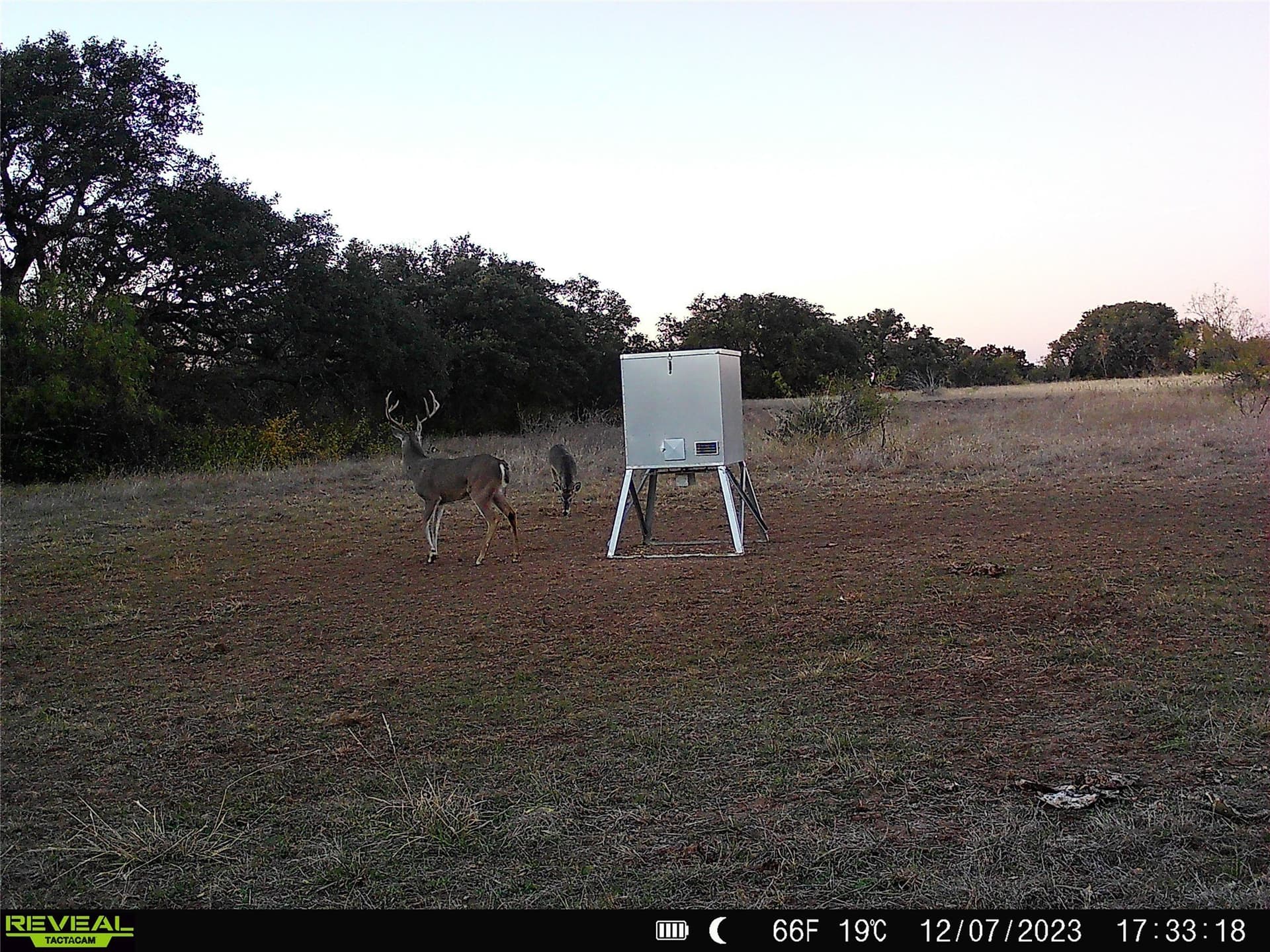 155.44 acres in Mills County - photo 27