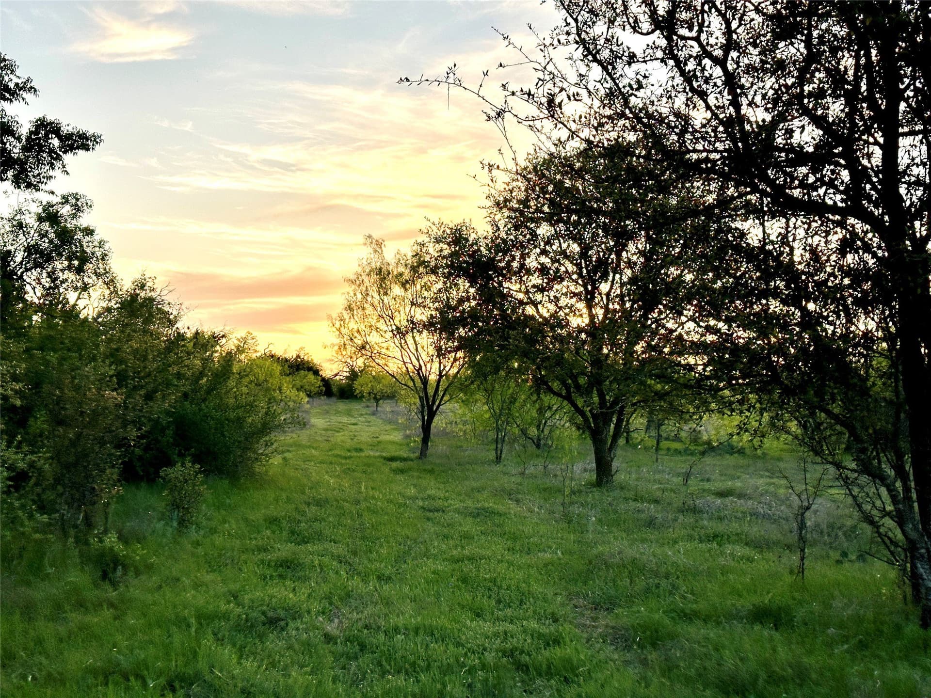 155.44 acres in Mills County - photo 16