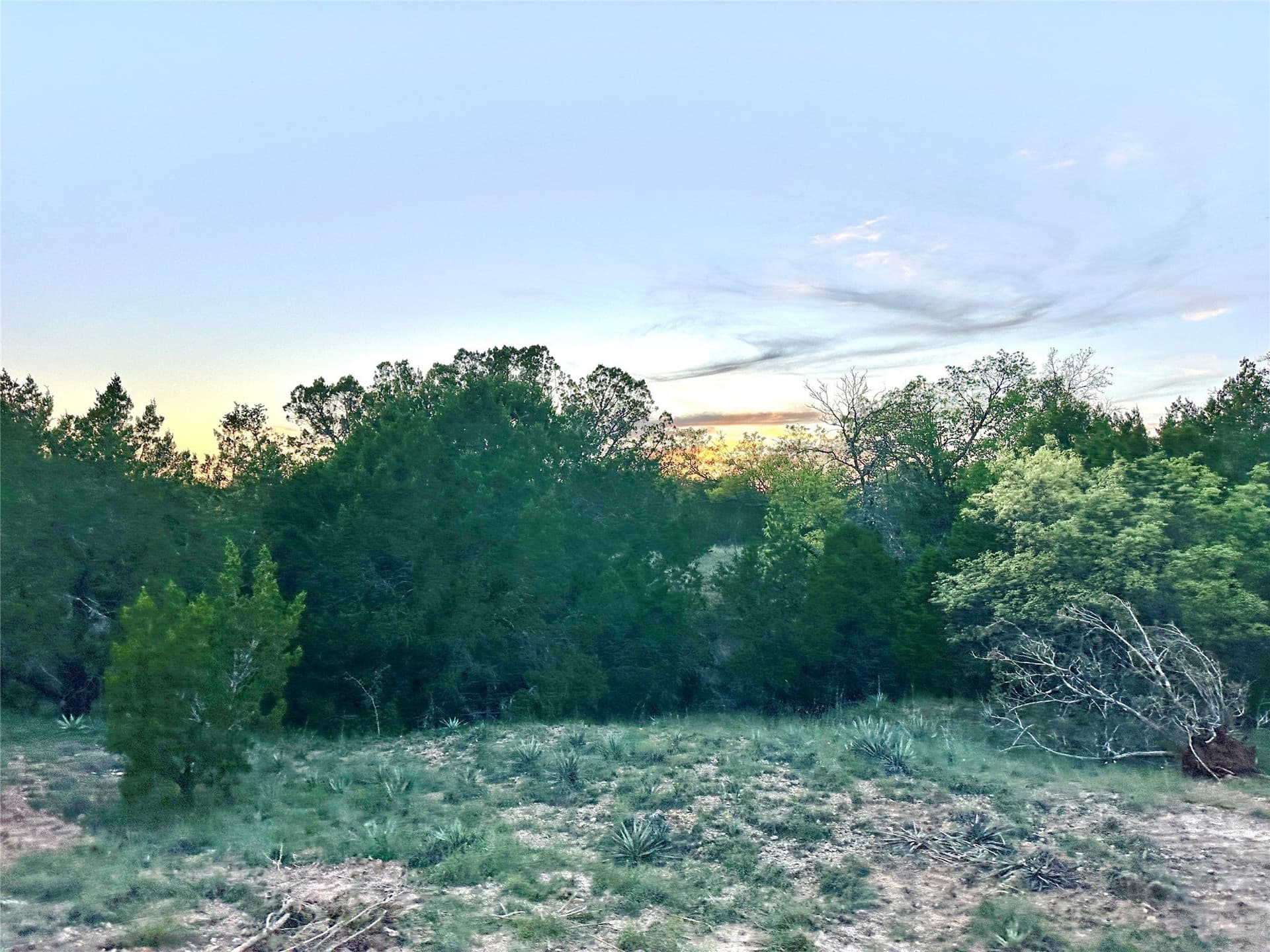155.44 acres in Mills County - photo 14