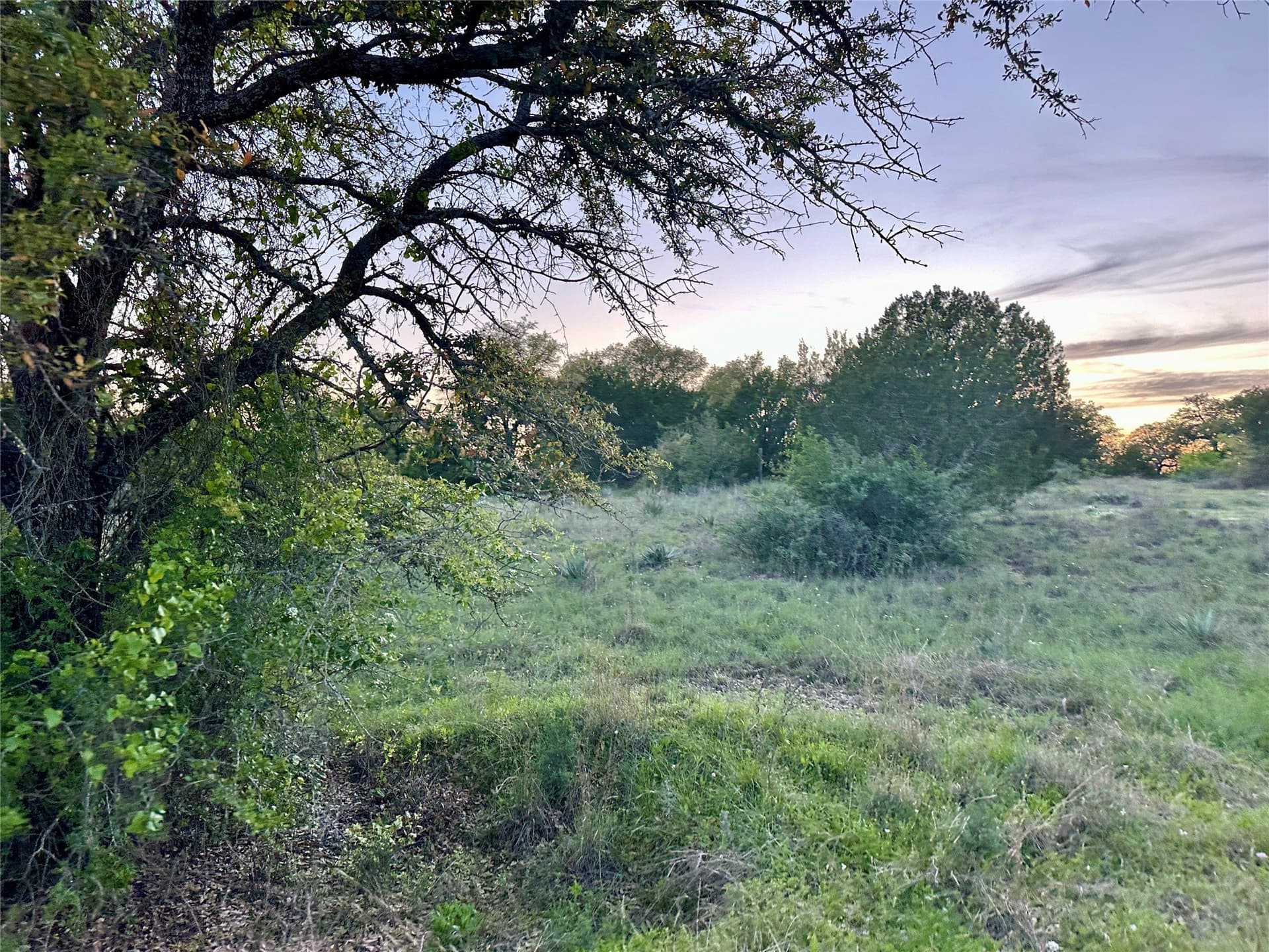 155.44 acres in Mills County - photo 15