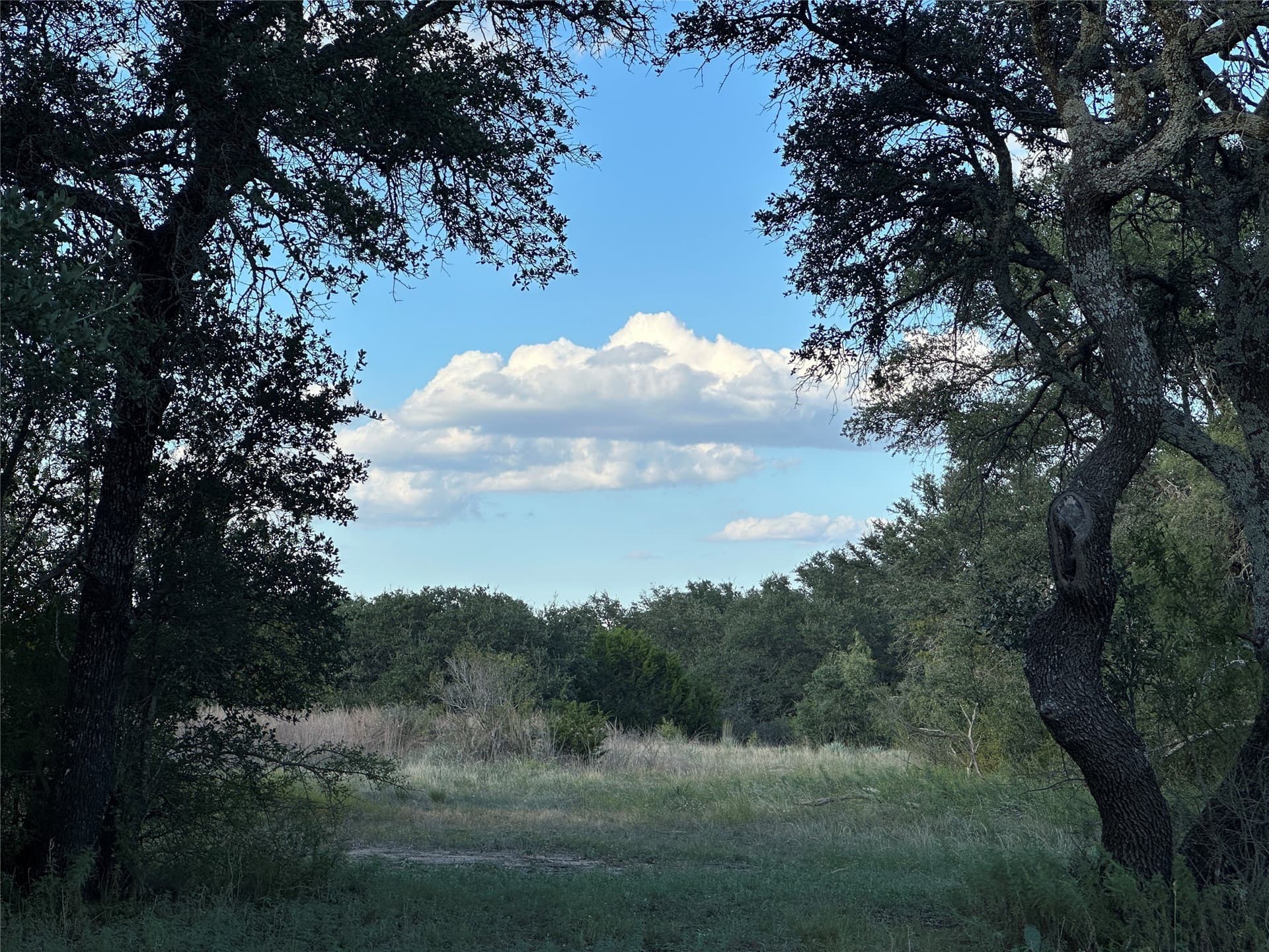 155.44 acres in Mills County - photo 4