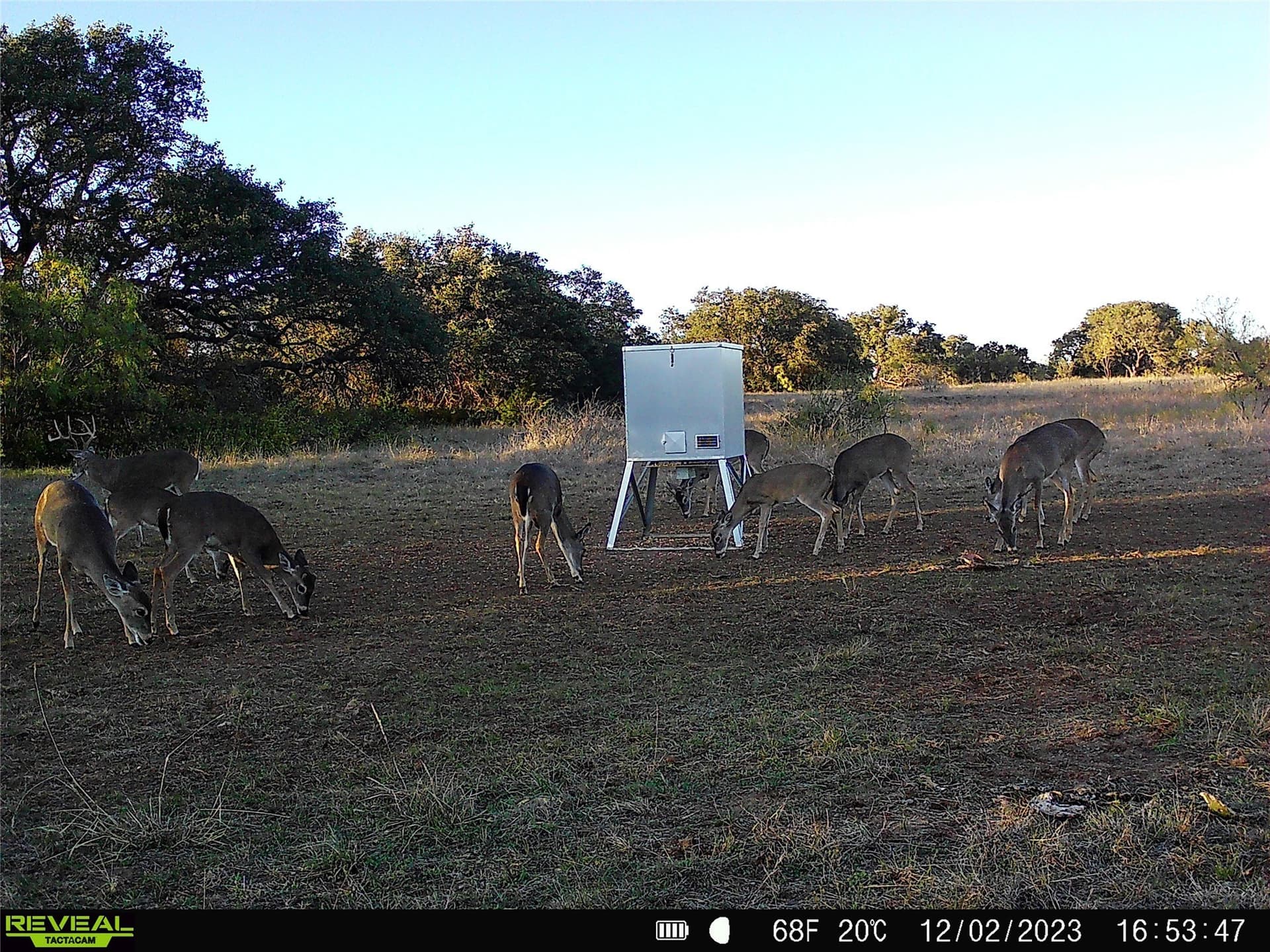 155.44 acres in Mills County - photo 29