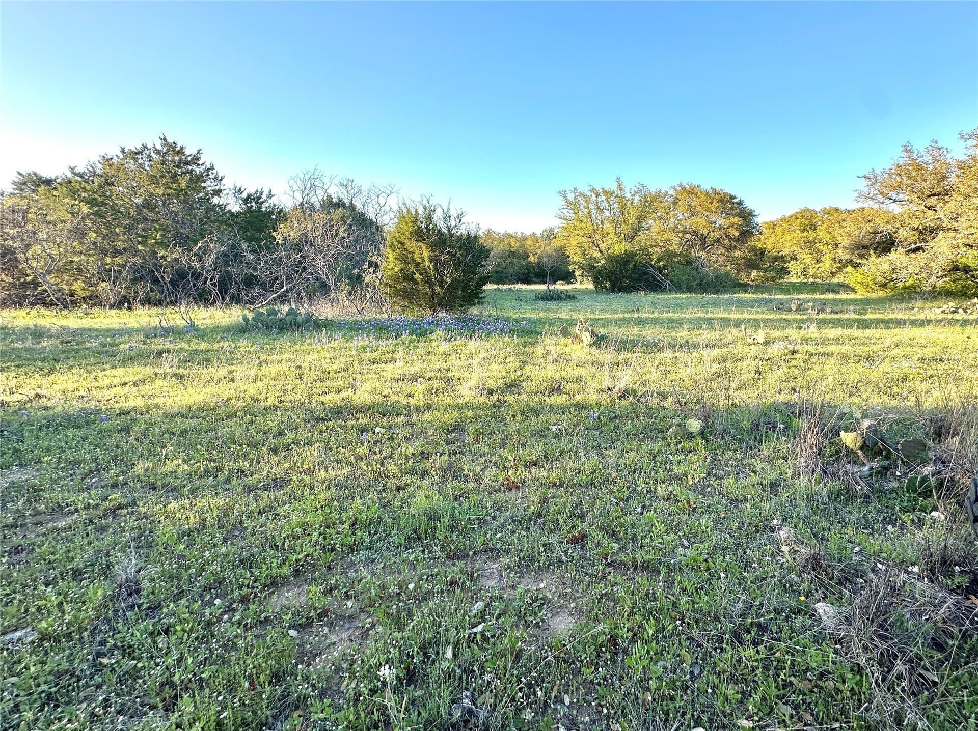 155.44 acres in Mills County - photo 30