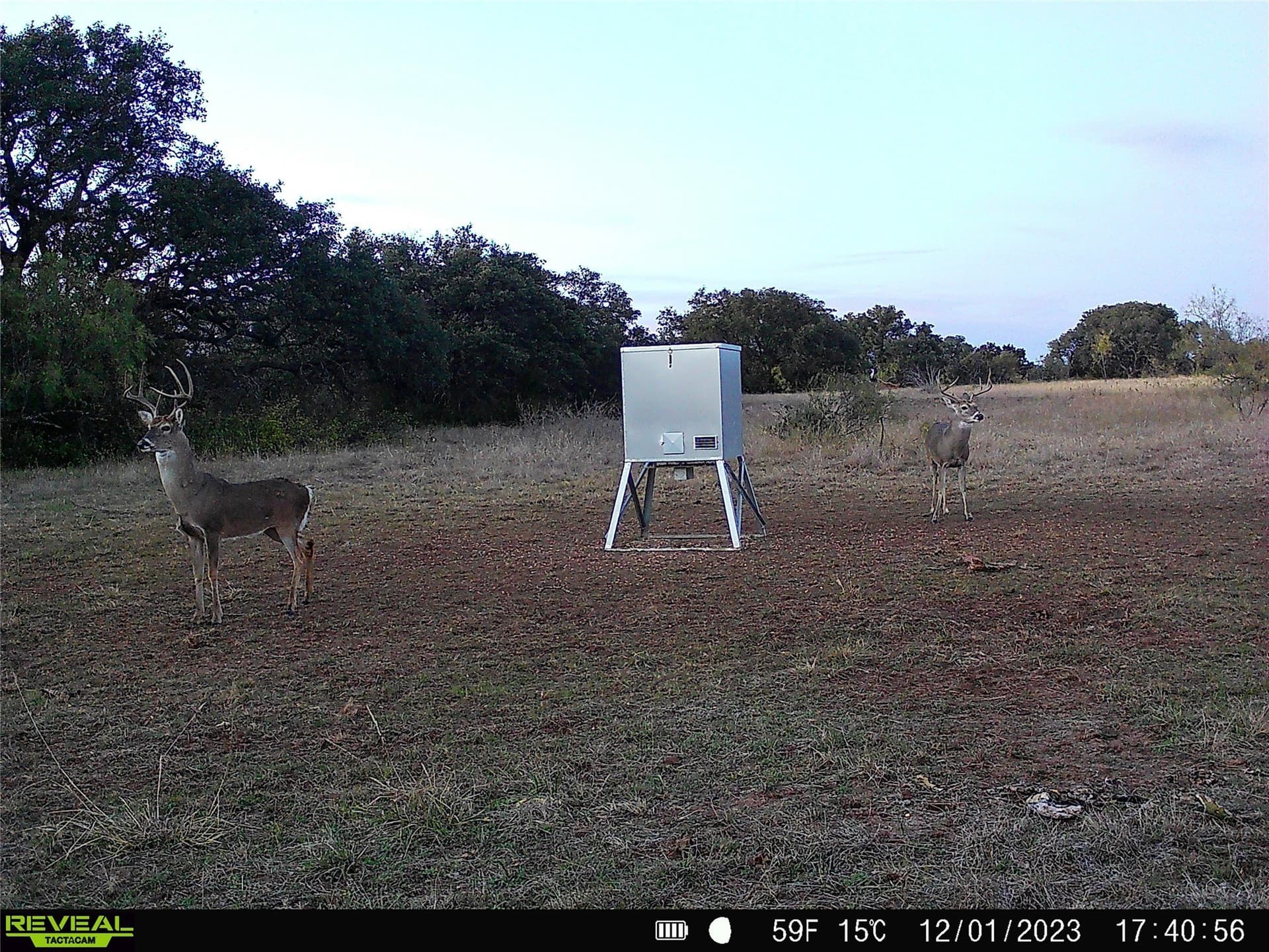 155.44 acres in Mills County - photo 28