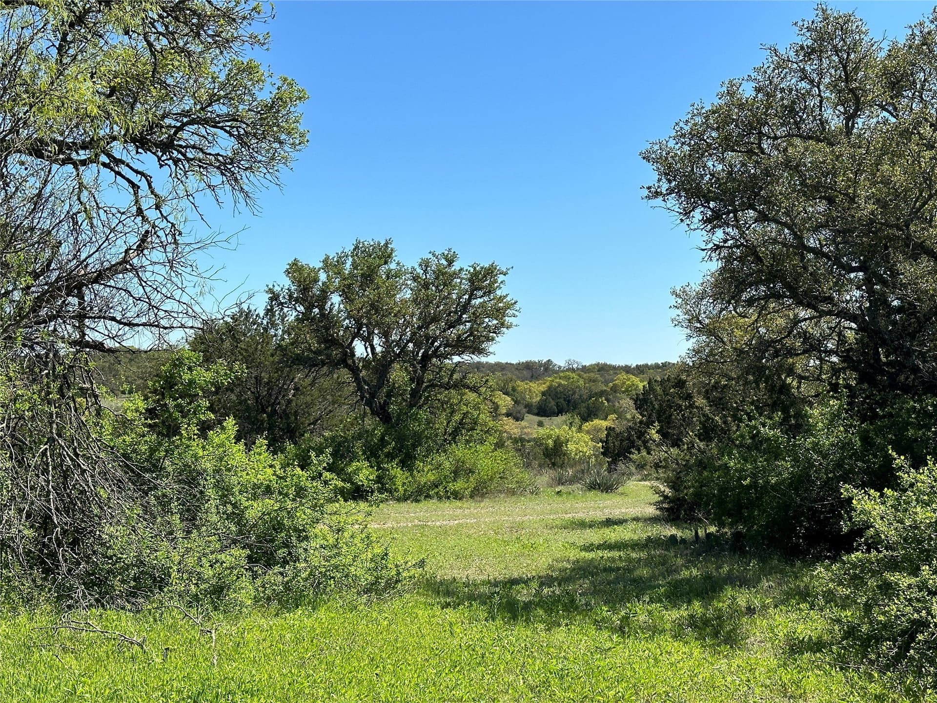 155.44 acres in Mills County - photo 10