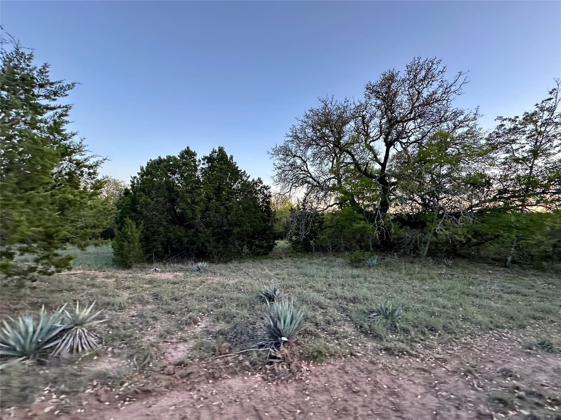 155.44 acres in Mills County - photo 23