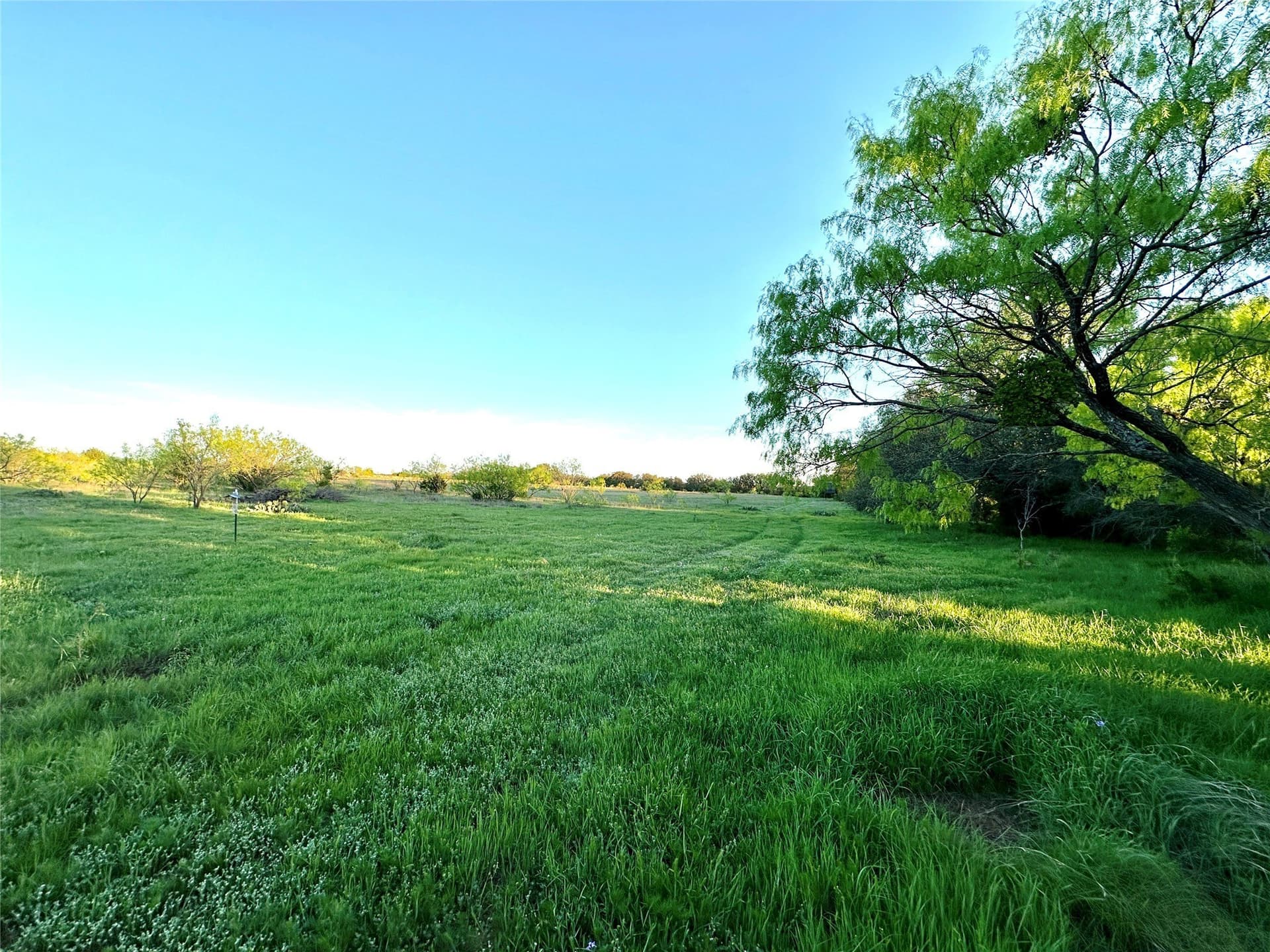 155.44 acres in Mills County - photo 38