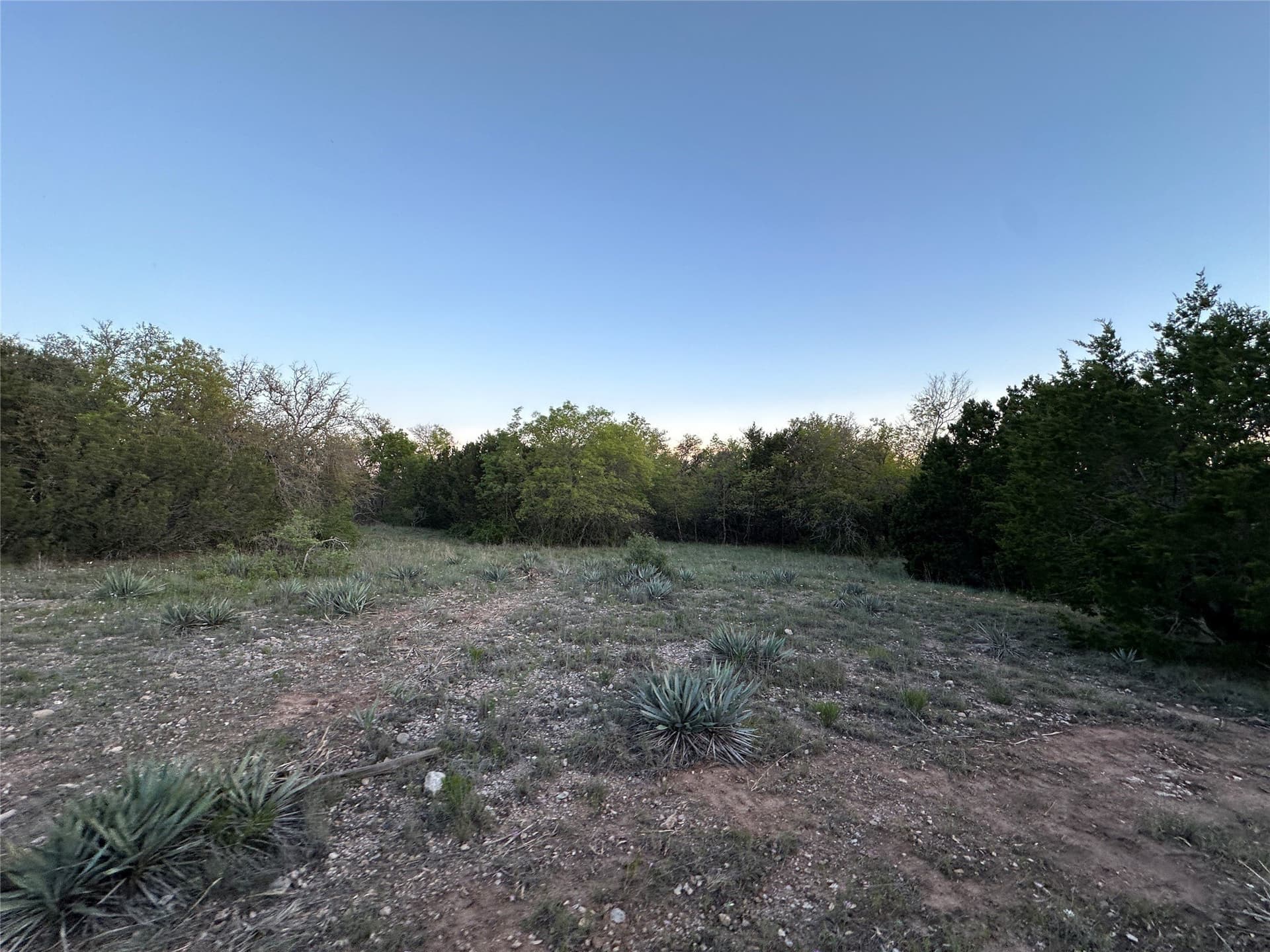155.44 acres in Mills County - photo 22