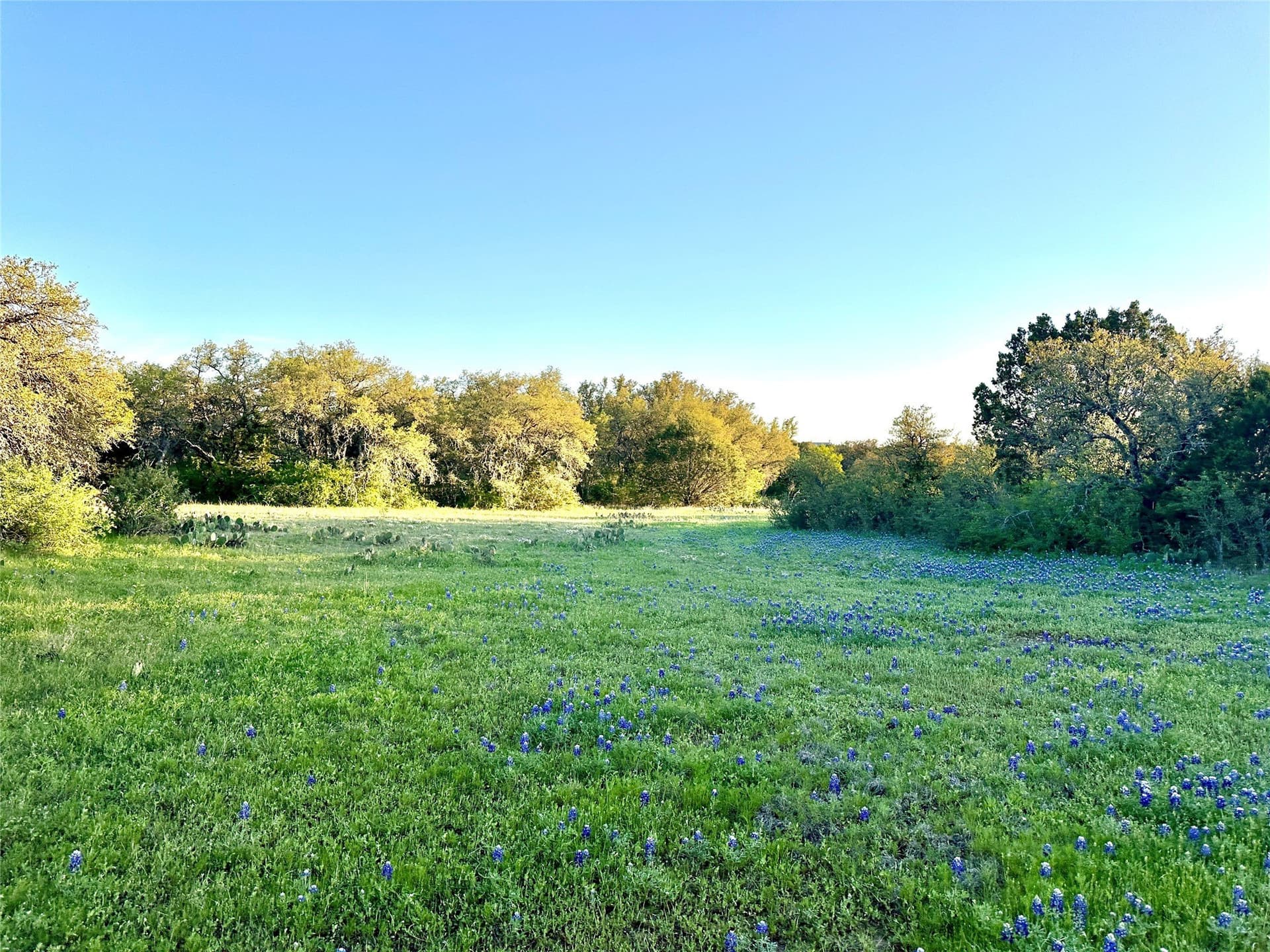 155.44 acres in Mills County - photo 34