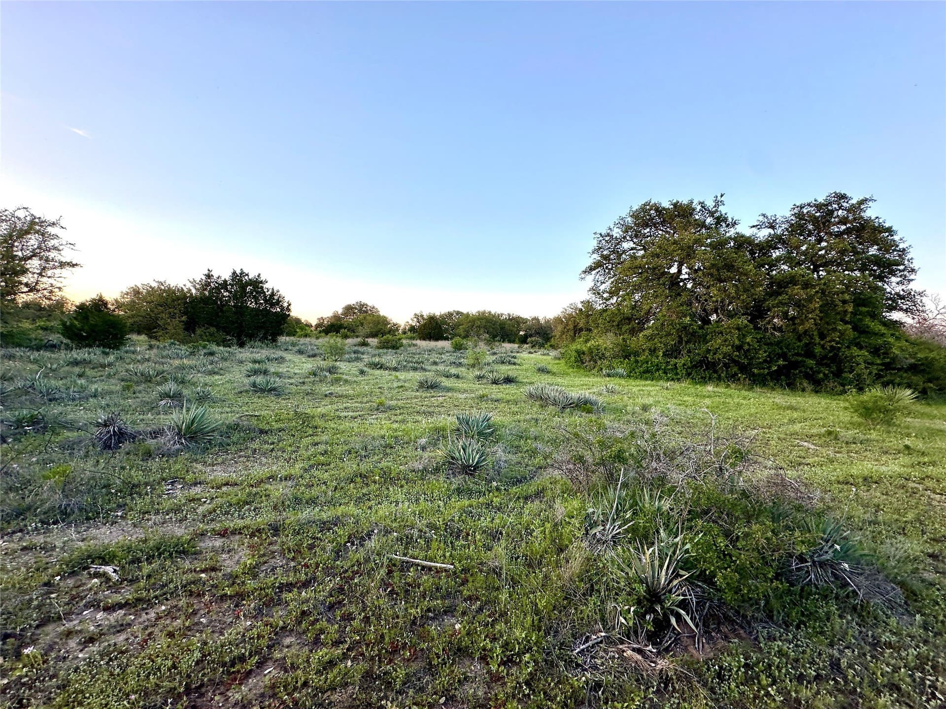 155.44 acres in Mills County - photo 19