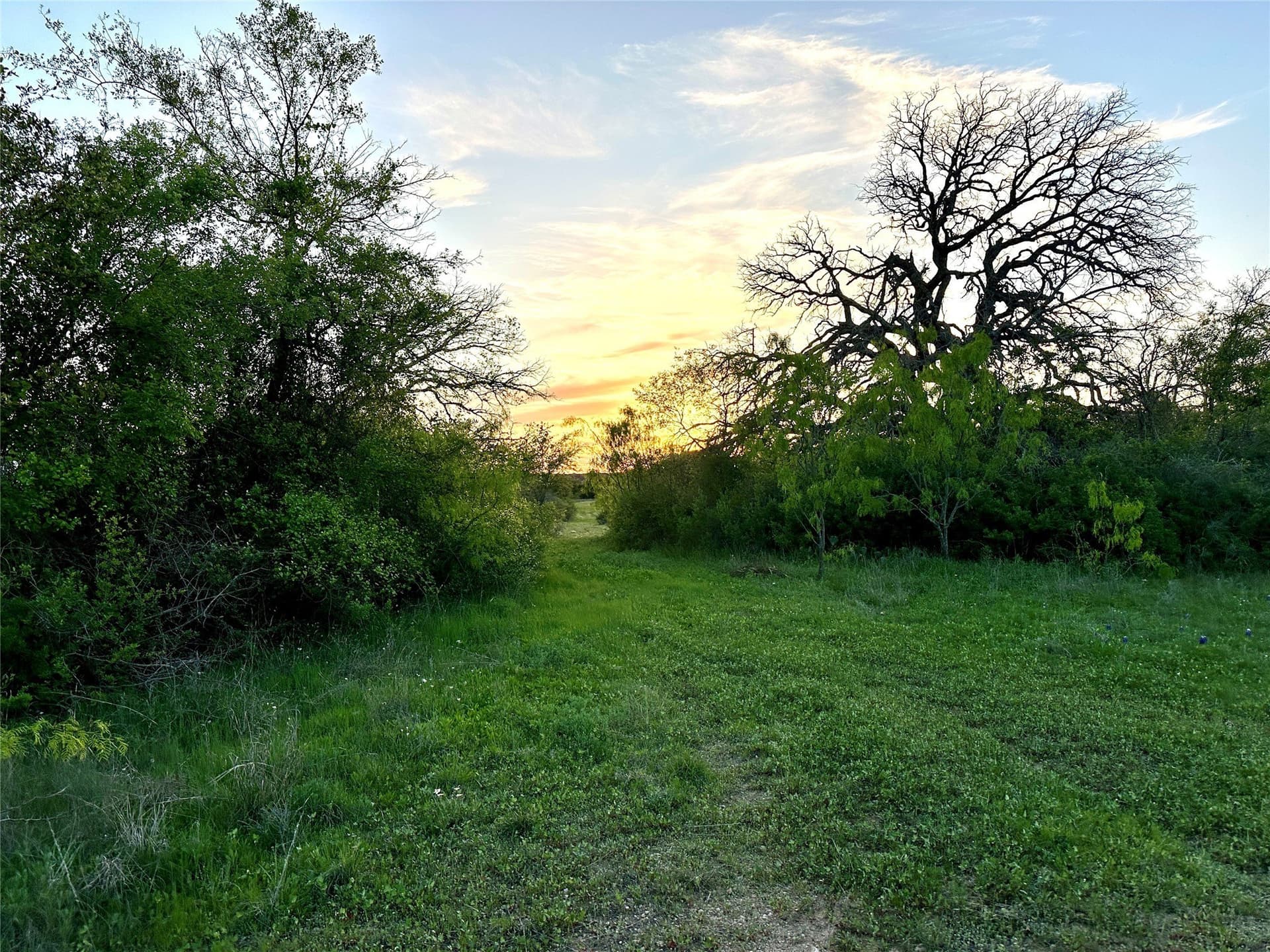 155.44 acres in Mills County - photo 17