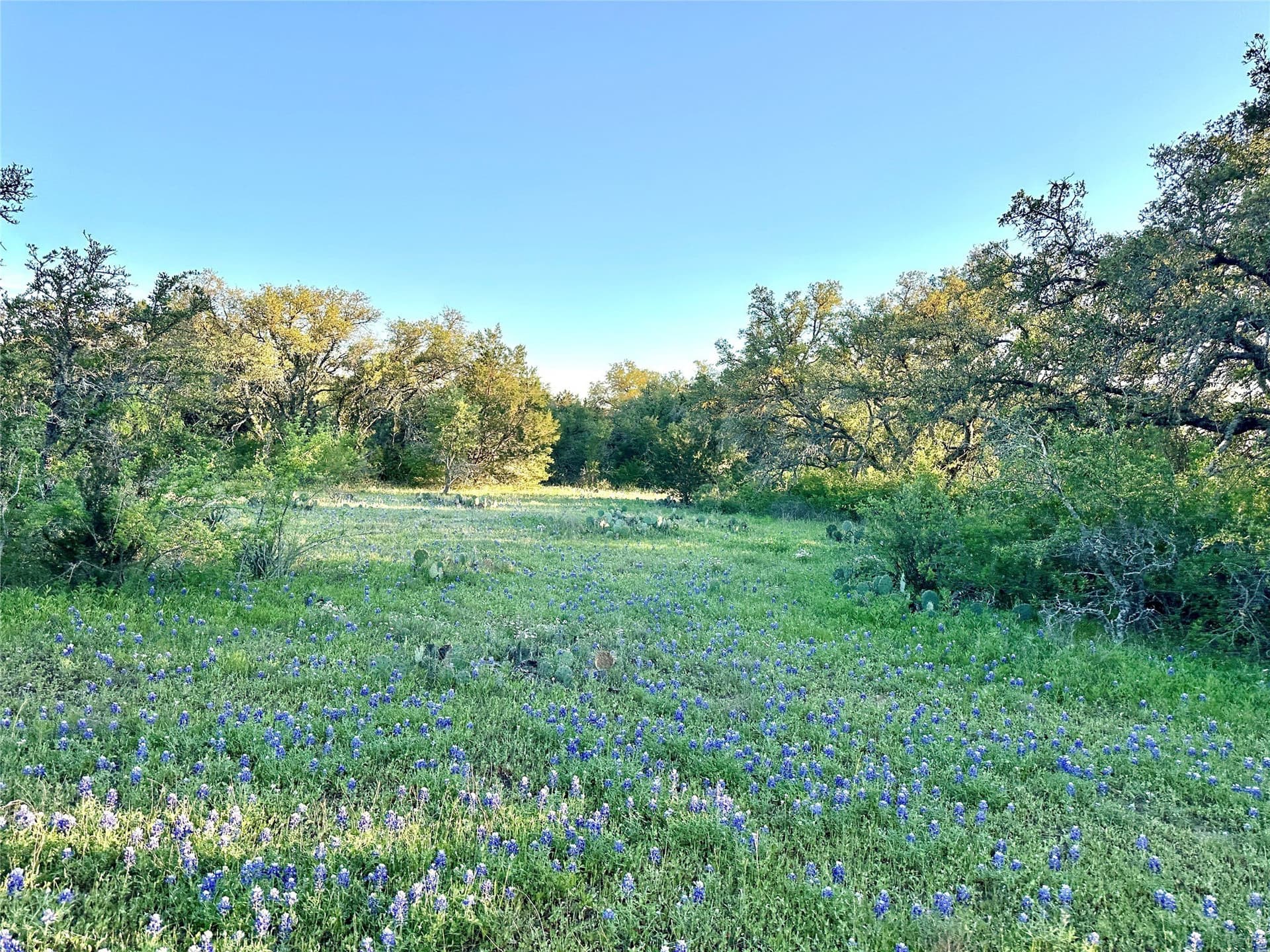 155.44 acres in Mills County - photo 33