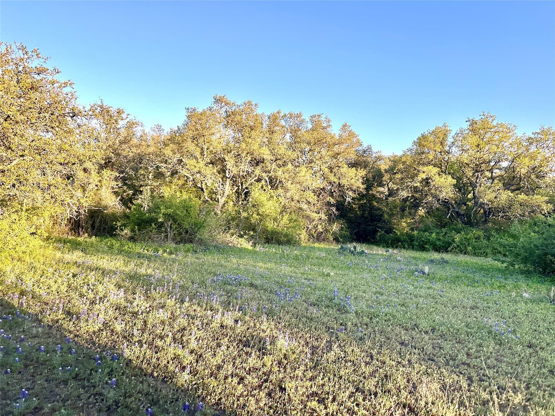 155.44 acres in Mills County - photo 32