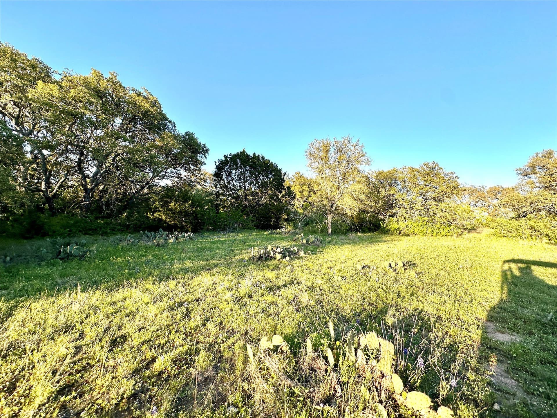 155.44 acres in Mills County - photo 31