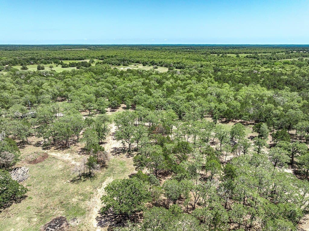 25.17 acres in Fayette County gallery image 4