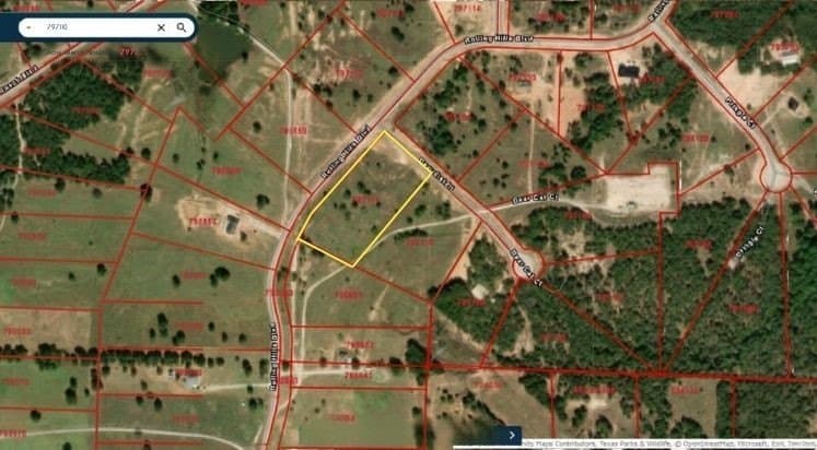 5.01 acres in Wise County gallery image 4
