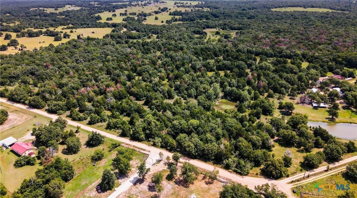 13.38 acres in Milam County gallery image 2