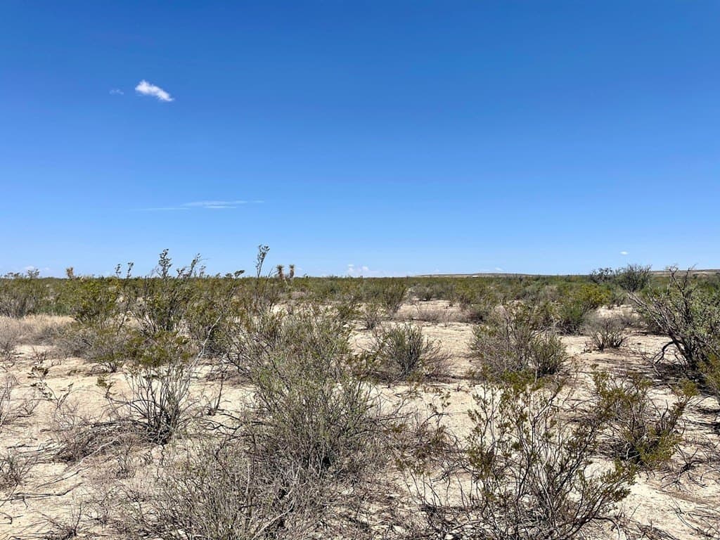10 acres in Brewster County gallery image 2