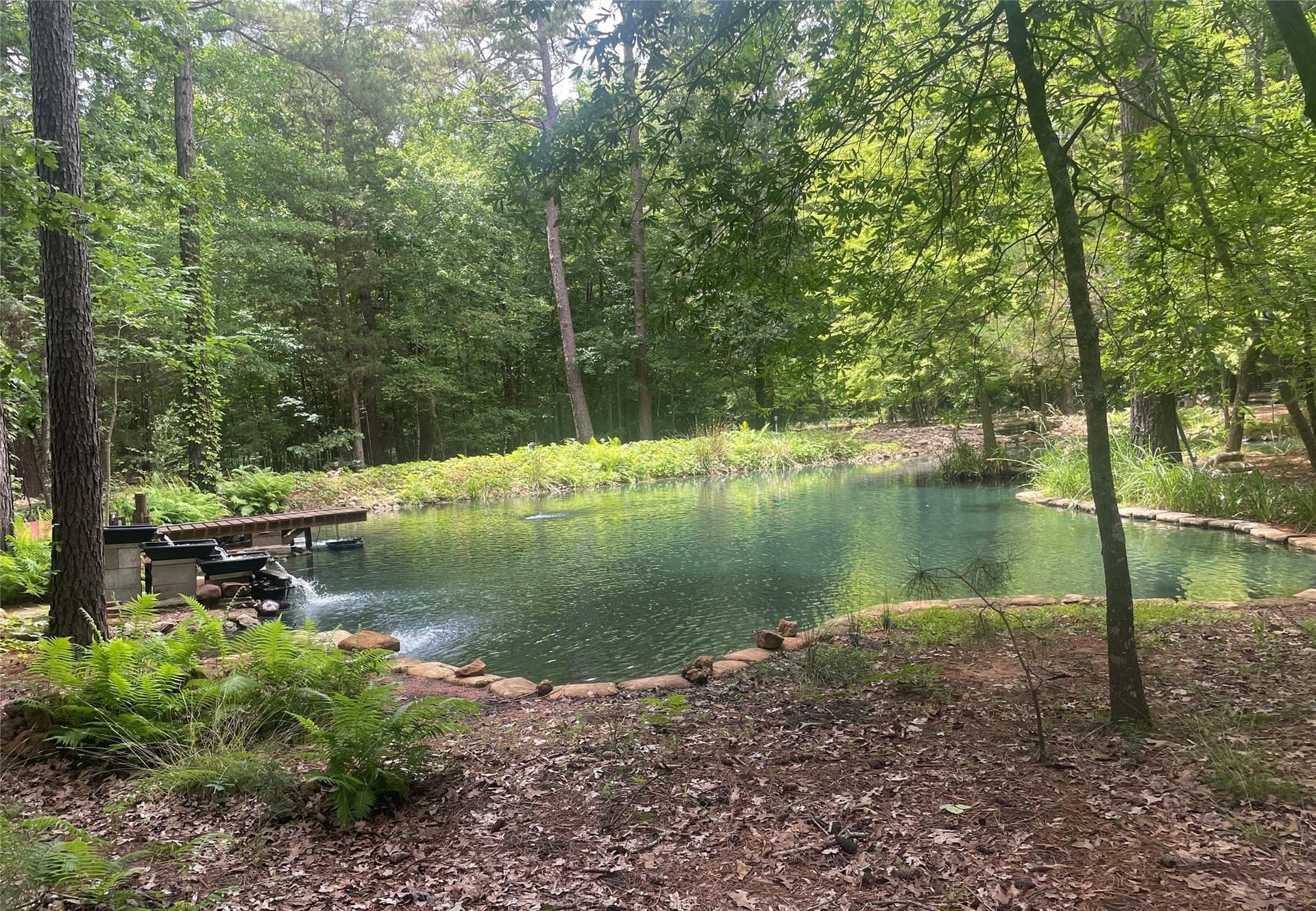 19.29 acres in Wood County gallery image 2