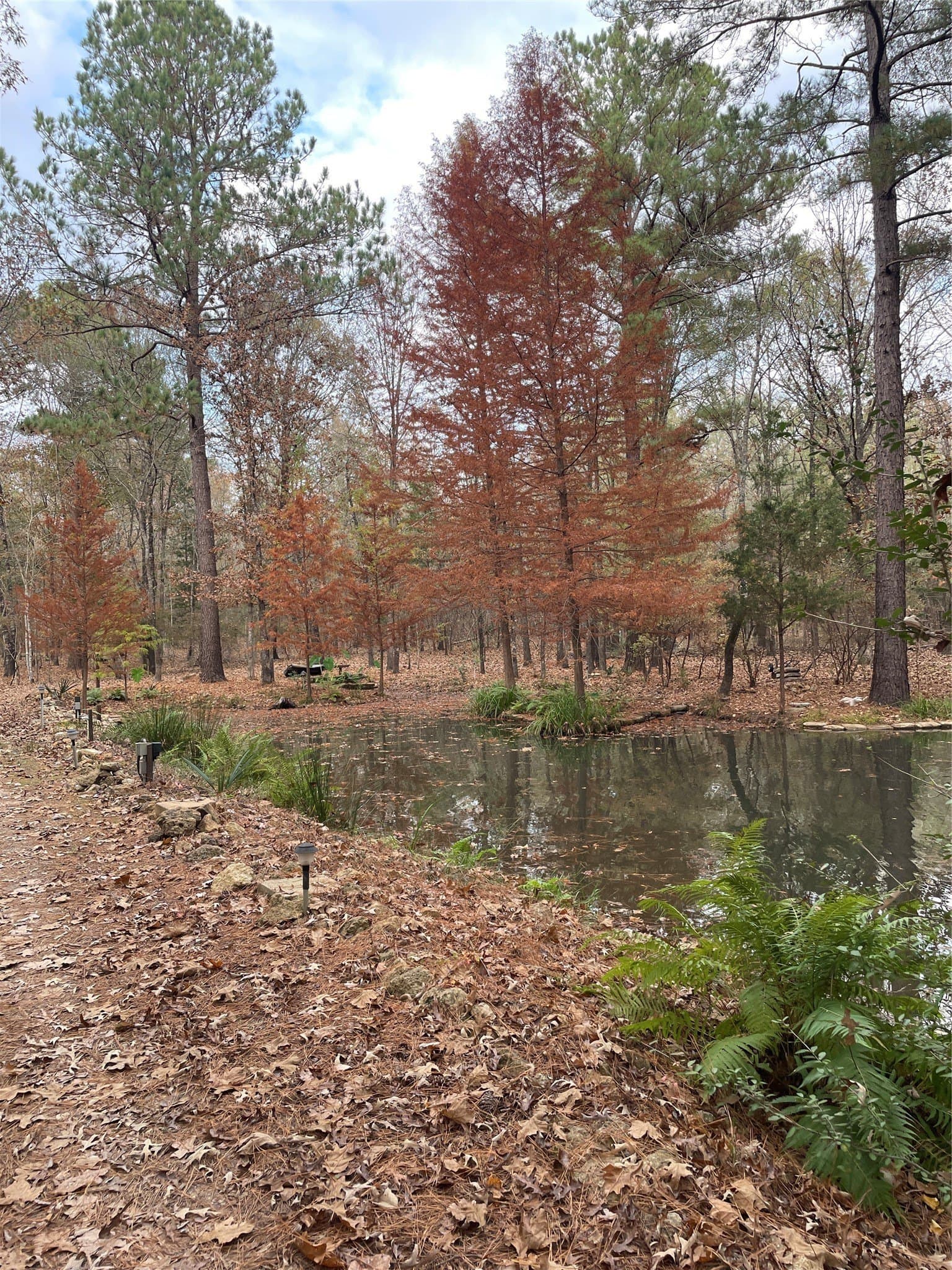 19.29 acres in Wood County featured view