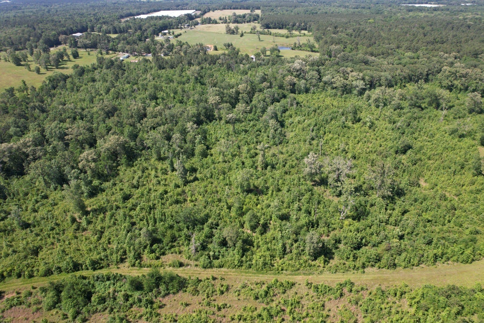 15.4 acres in Shelby County gallery image 4