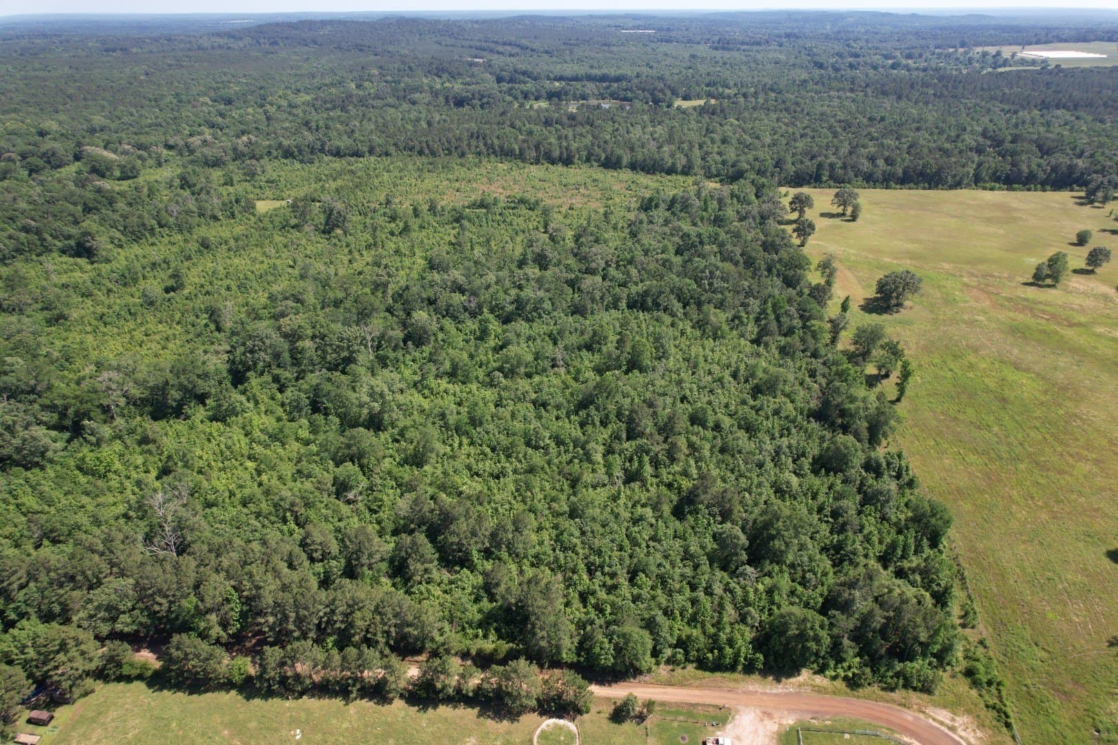 15.4 acres in Shelby County gallery image 3