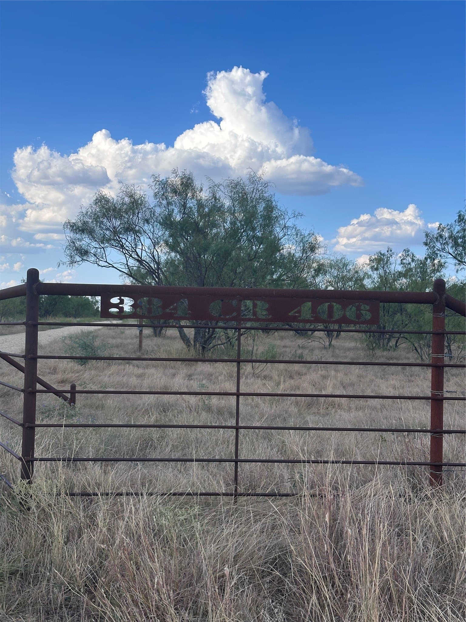 28.26 acres in Eastland County - photo 4