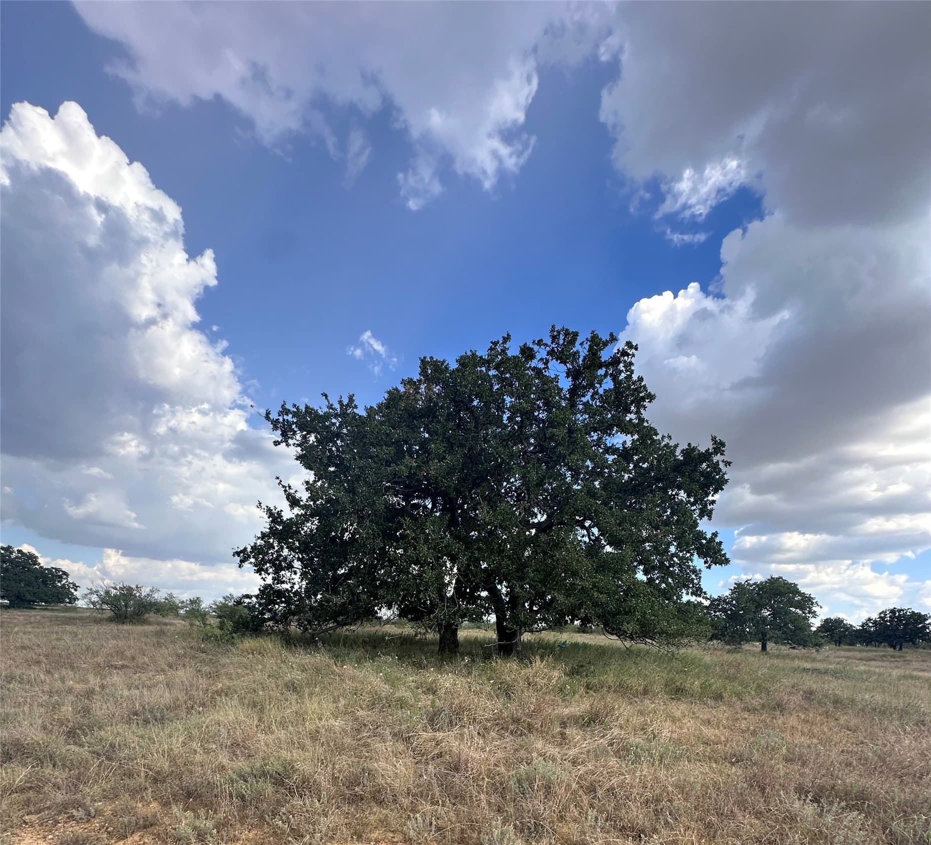 28.26 acres in Eastland County - photo 3