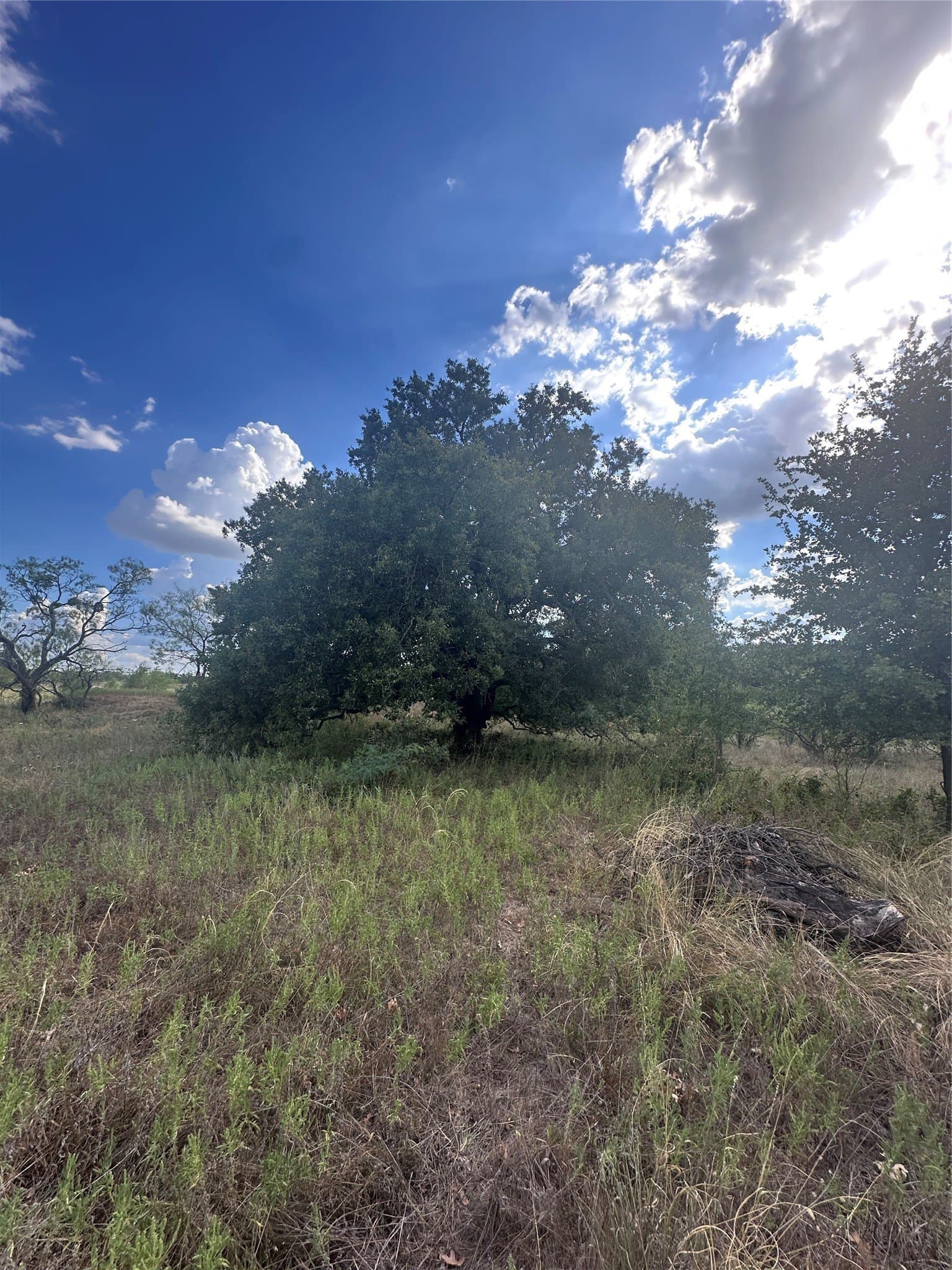28.26 acres in Eastland County - photo 29