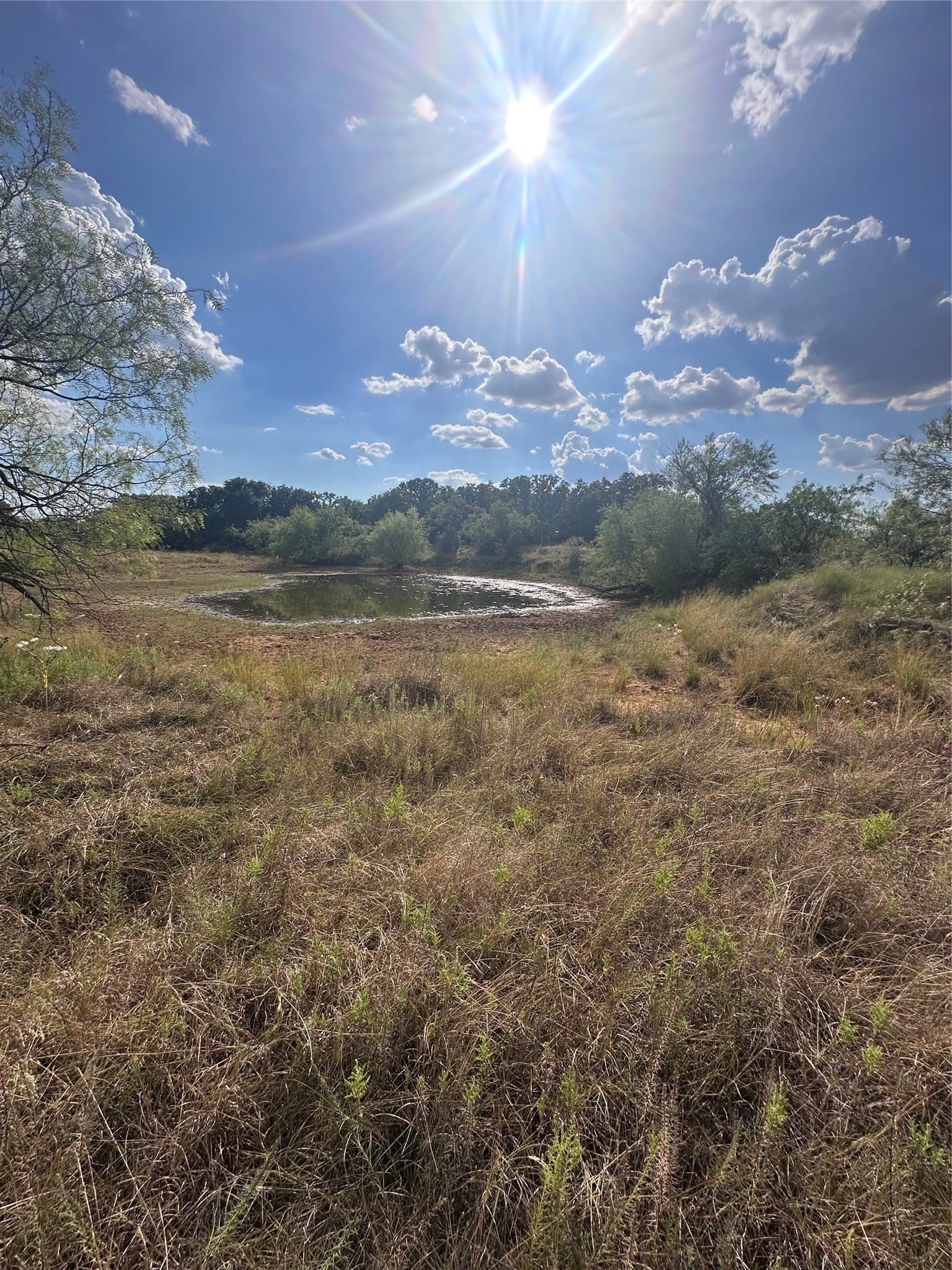 28.26 acres in Eastland County - photo 23