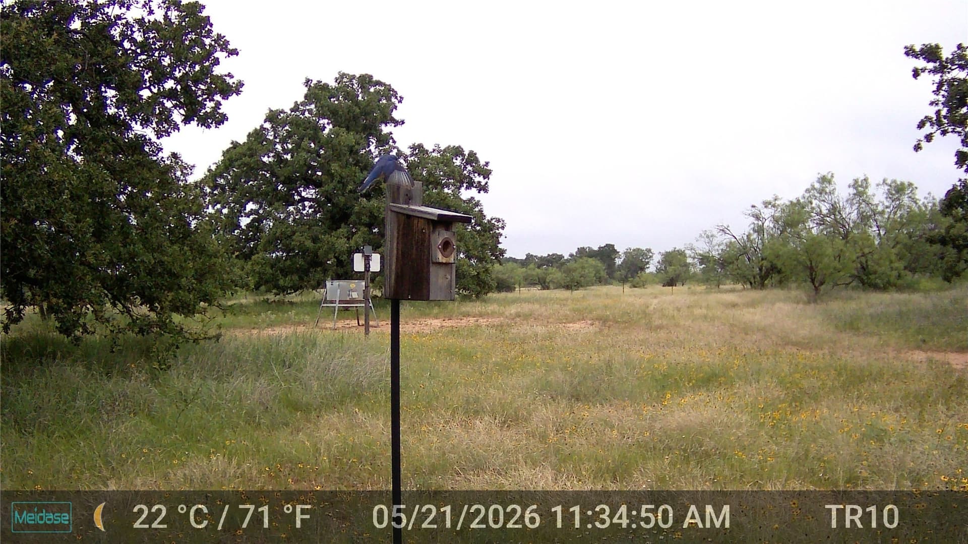 28.26 acres in Eastland County - photo 10