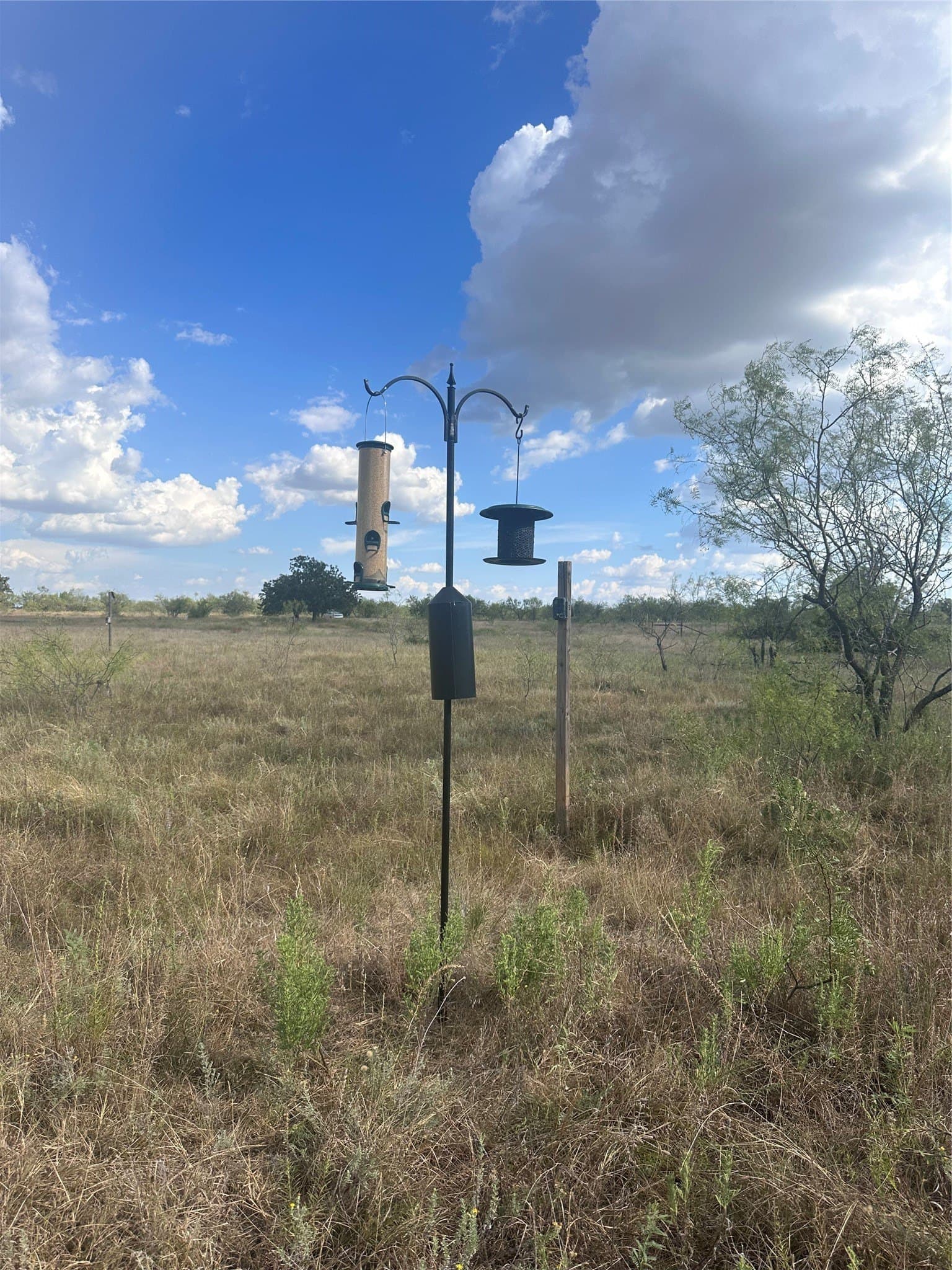 28.26 acres in Eastland County - photo 7