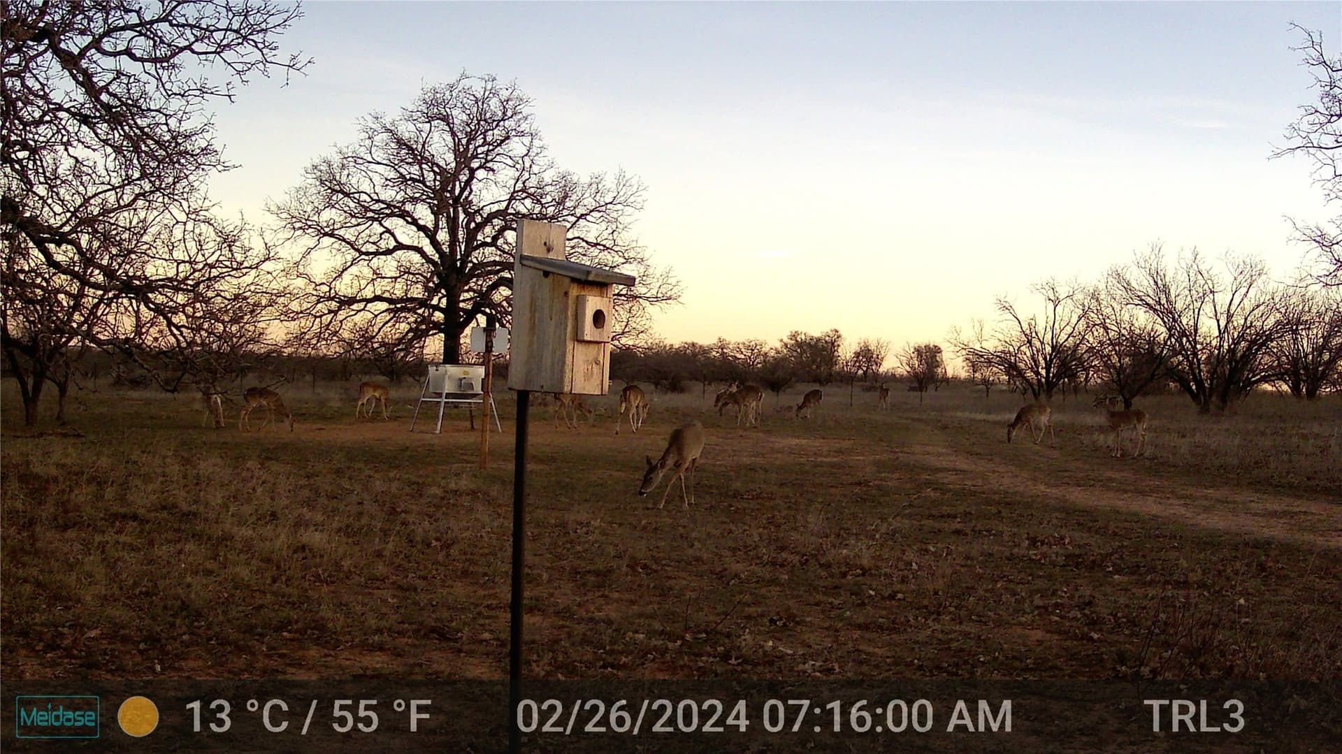 28.26 acres in Eastland County - photo 12