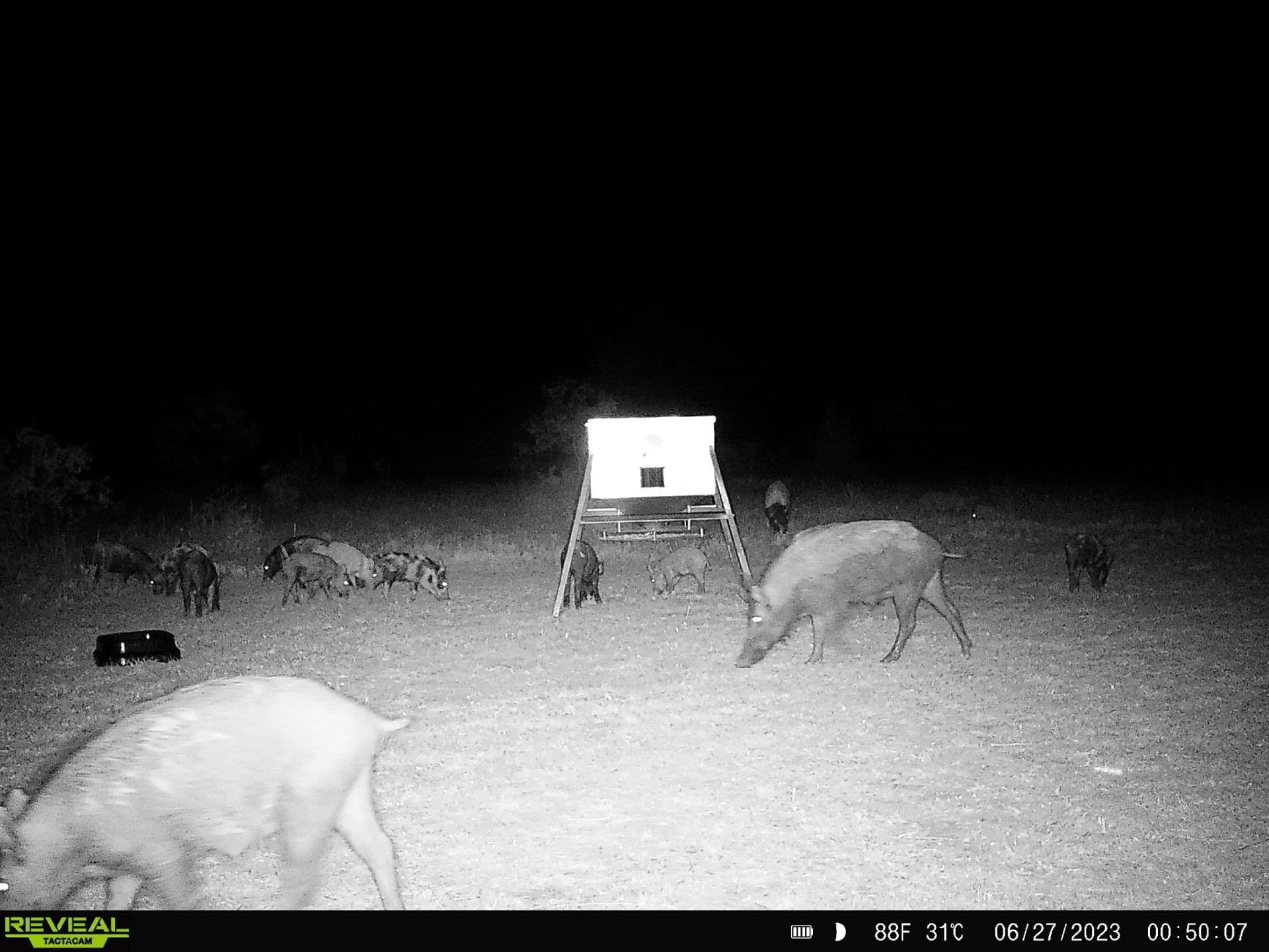 28.26 acres in Eastland County - photo 19