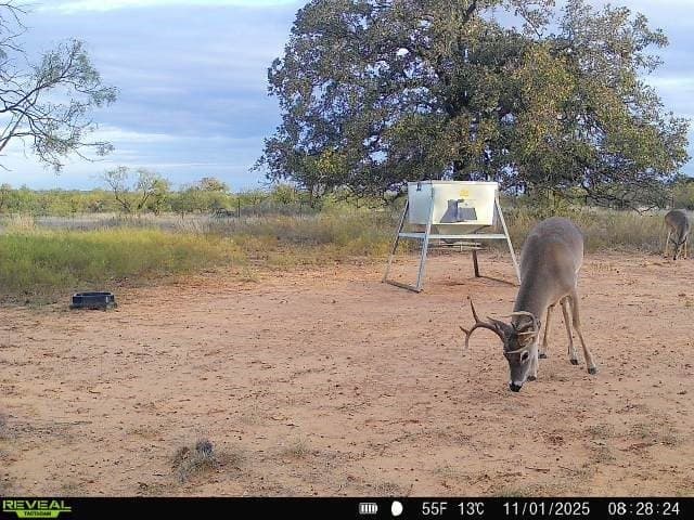 28.26 acres in Eastland County - photo 13