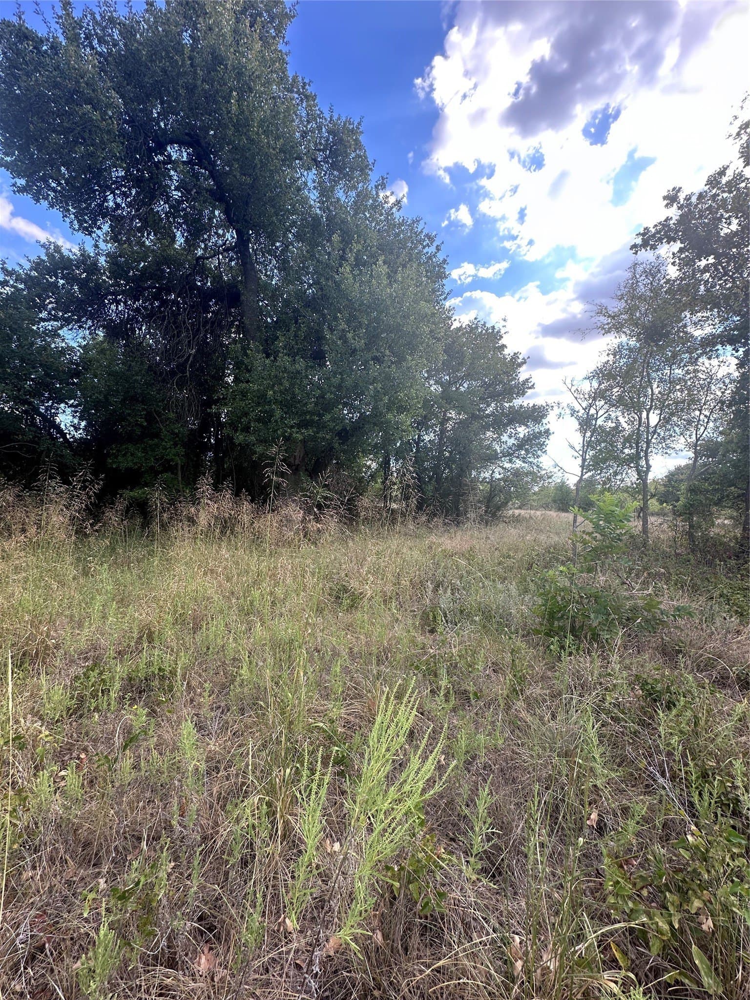 28.26 acres in Eastland County - photo 30