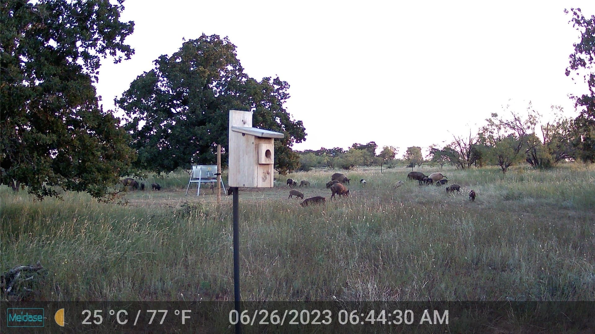 28.26 acres in Eastland County - photo 6