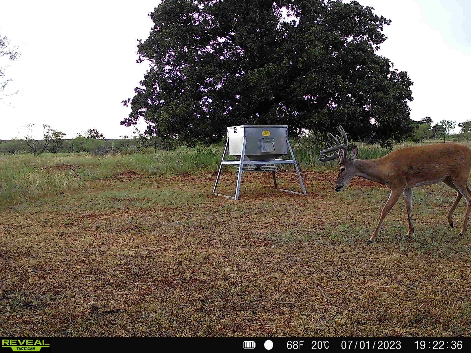 28.26 acres in Eastland County - photo 17