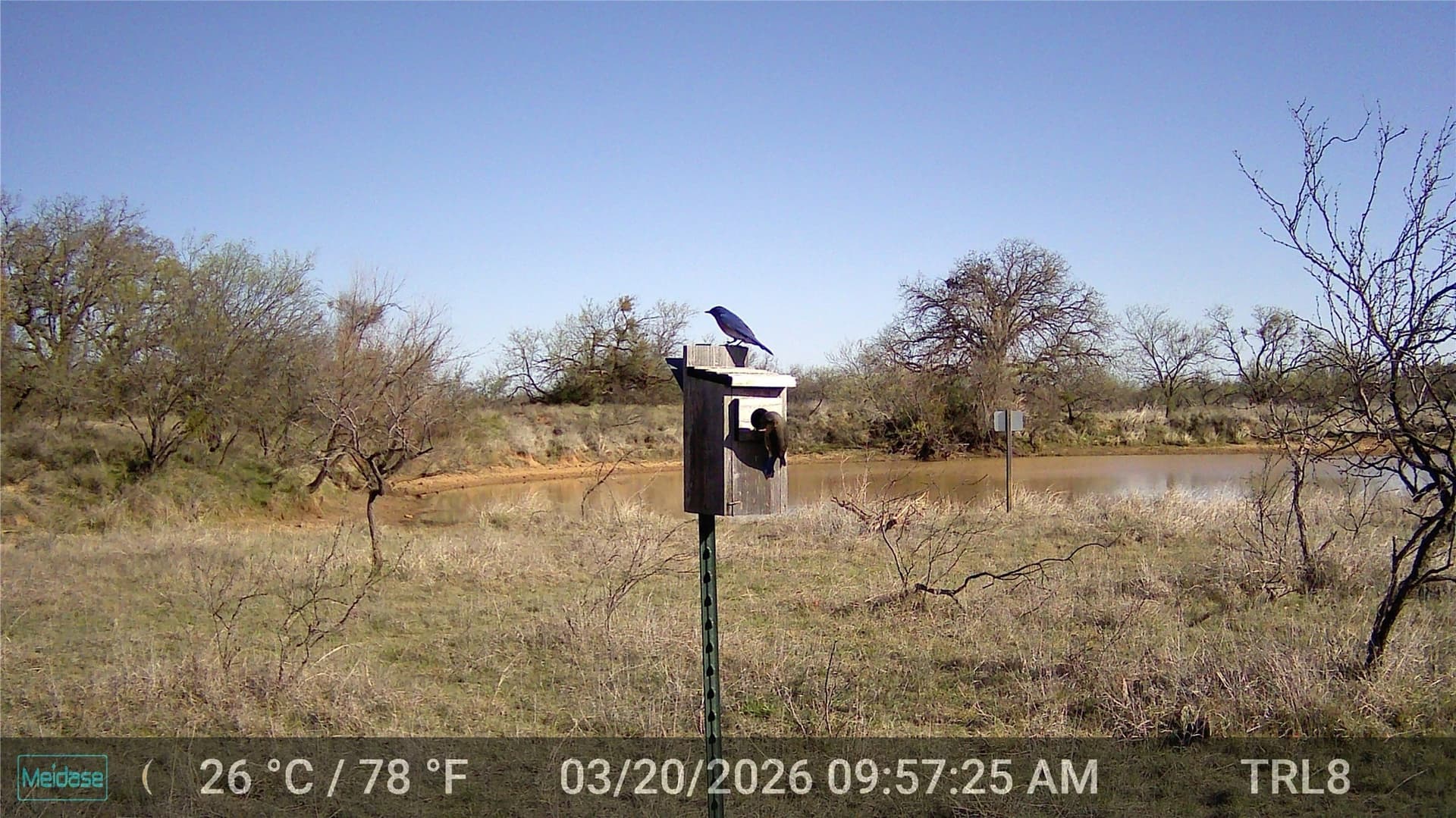 28.26 acres in Eastland County - photo 11